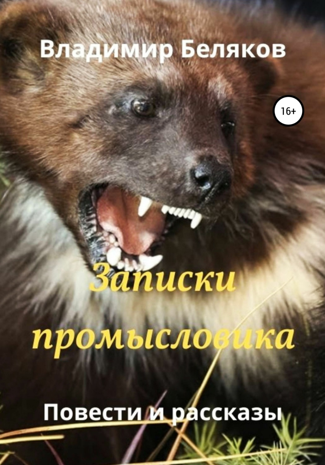Обложка книги «Записки промысловика. Повести и рассказы»