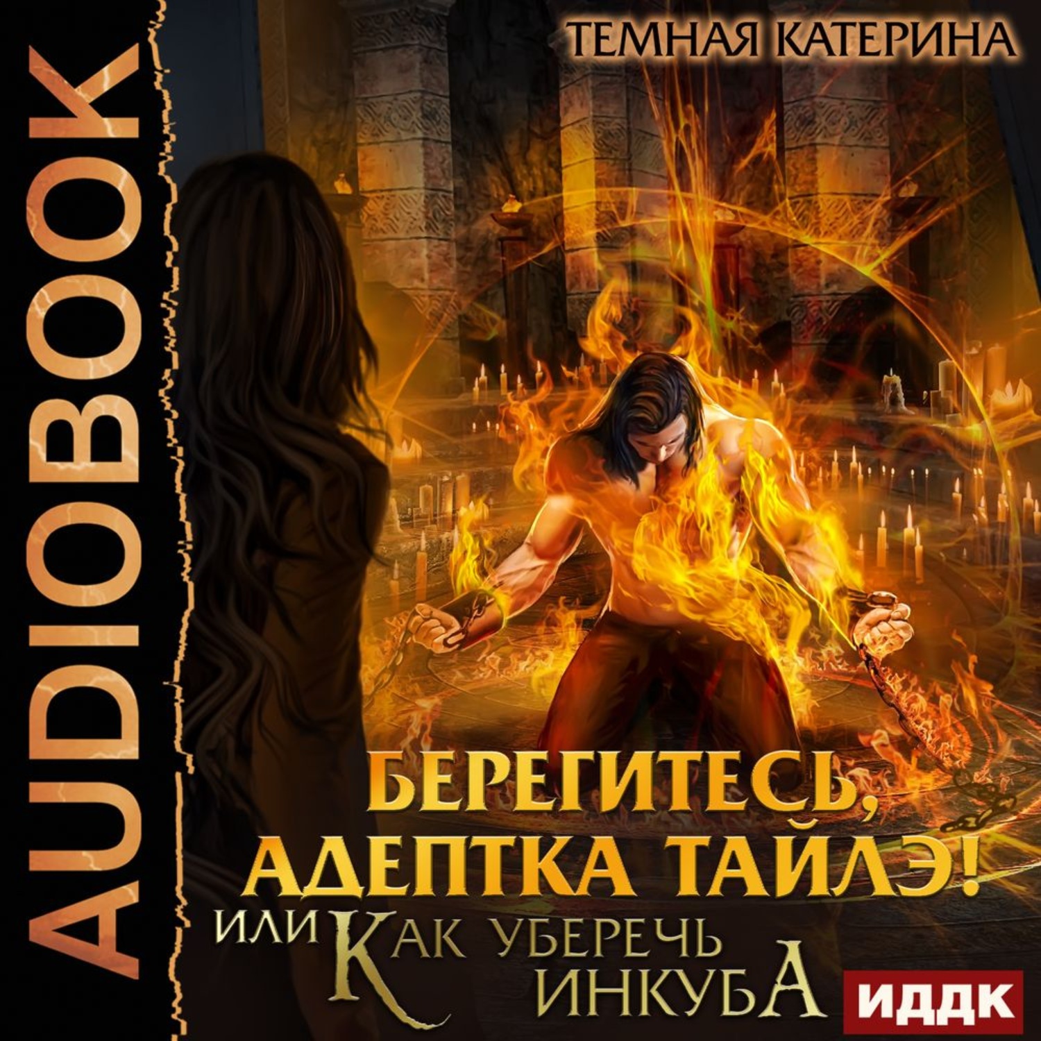 Обложка книги «Берегитесь, адептка Тайлэ! или Как уберечь инкуба»