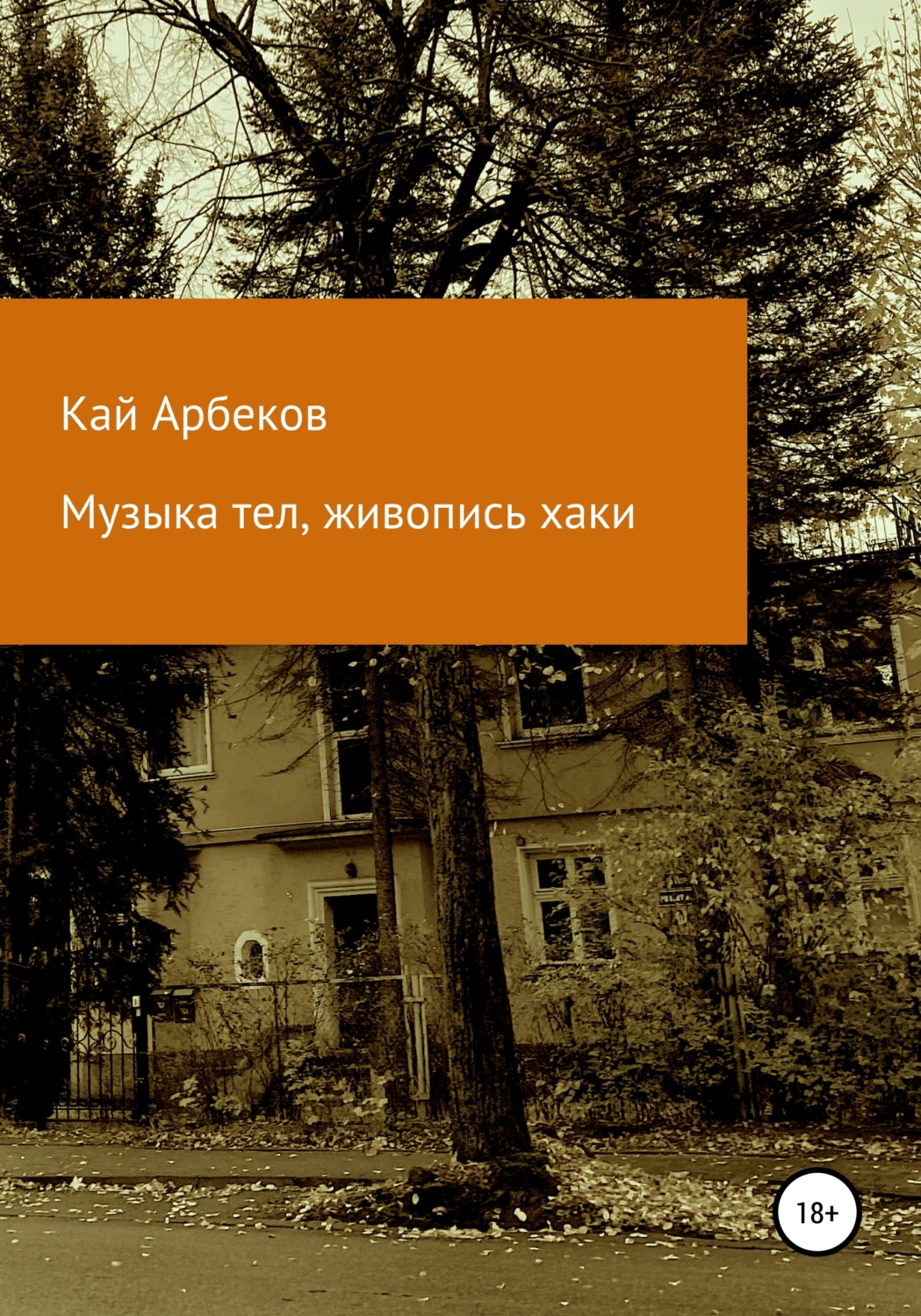 Обложка книги «Музыка тел, живопись хаки»