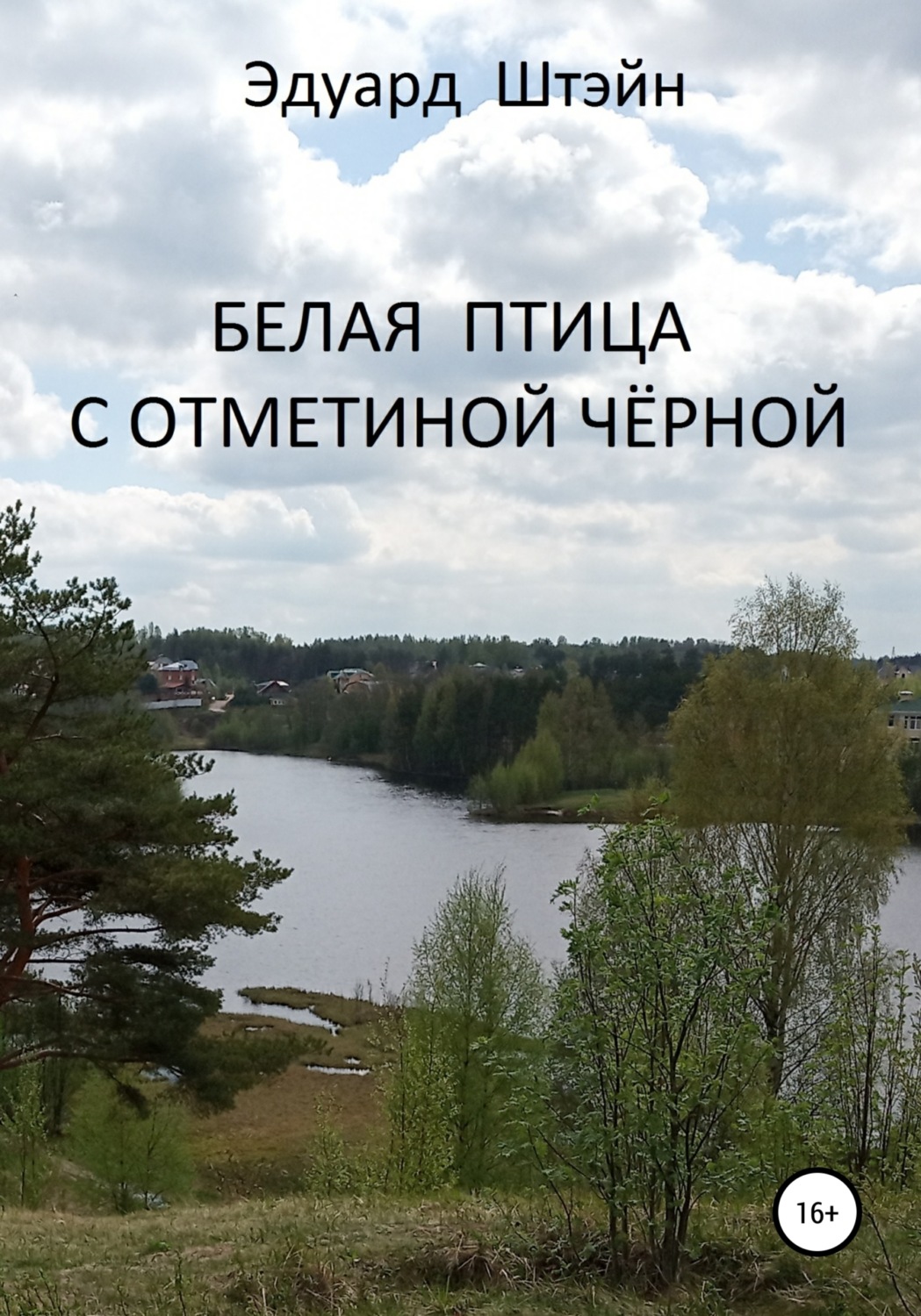Обложка книги «Белая птица с отметиной чёрной»