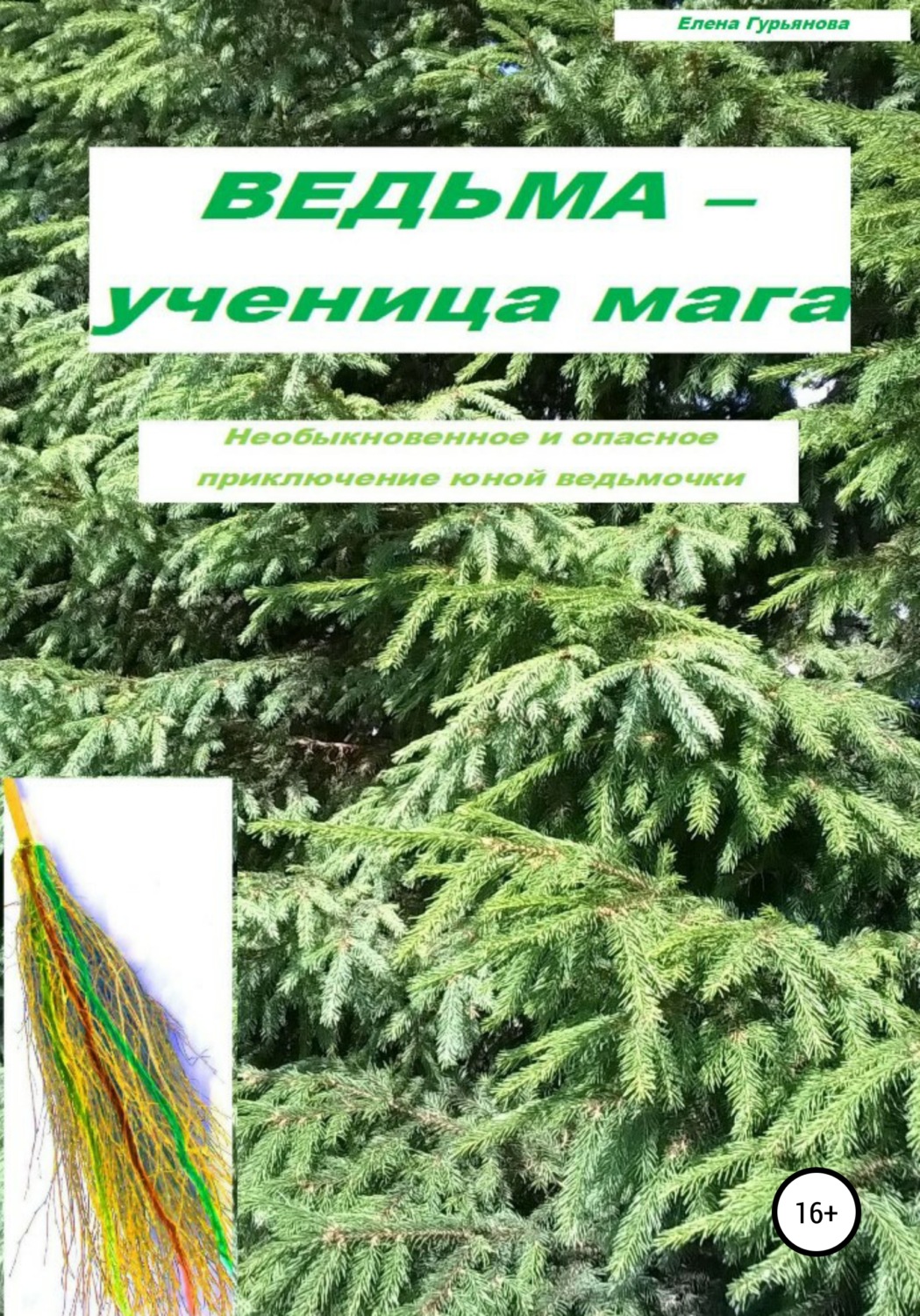 Обложка книги «Ведьма – ученица мага»