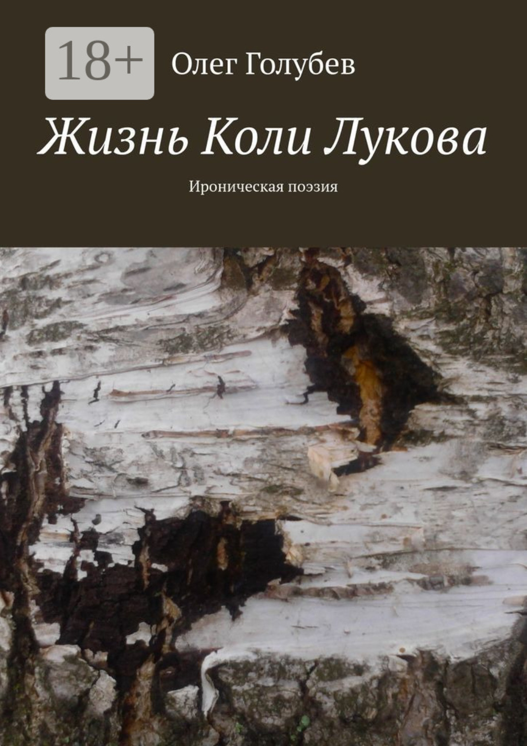 Обложка книги «Жизнь Коли Лукова. Ироническая поэзия»