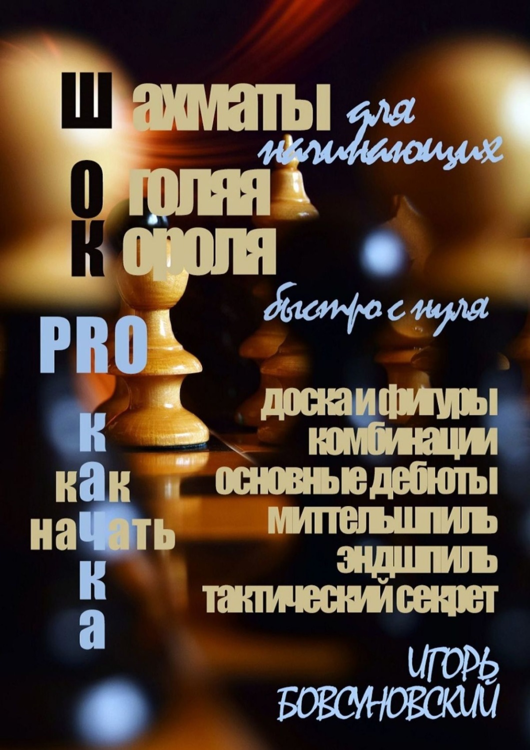 Обложка книги «Шахматы для начинающих. Оголяя короля»