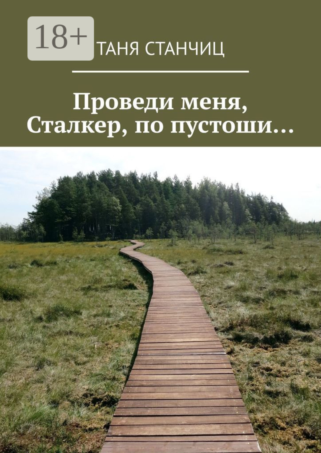 Обложка книги «Проведи меня, Сталкер, по пустоши…»
