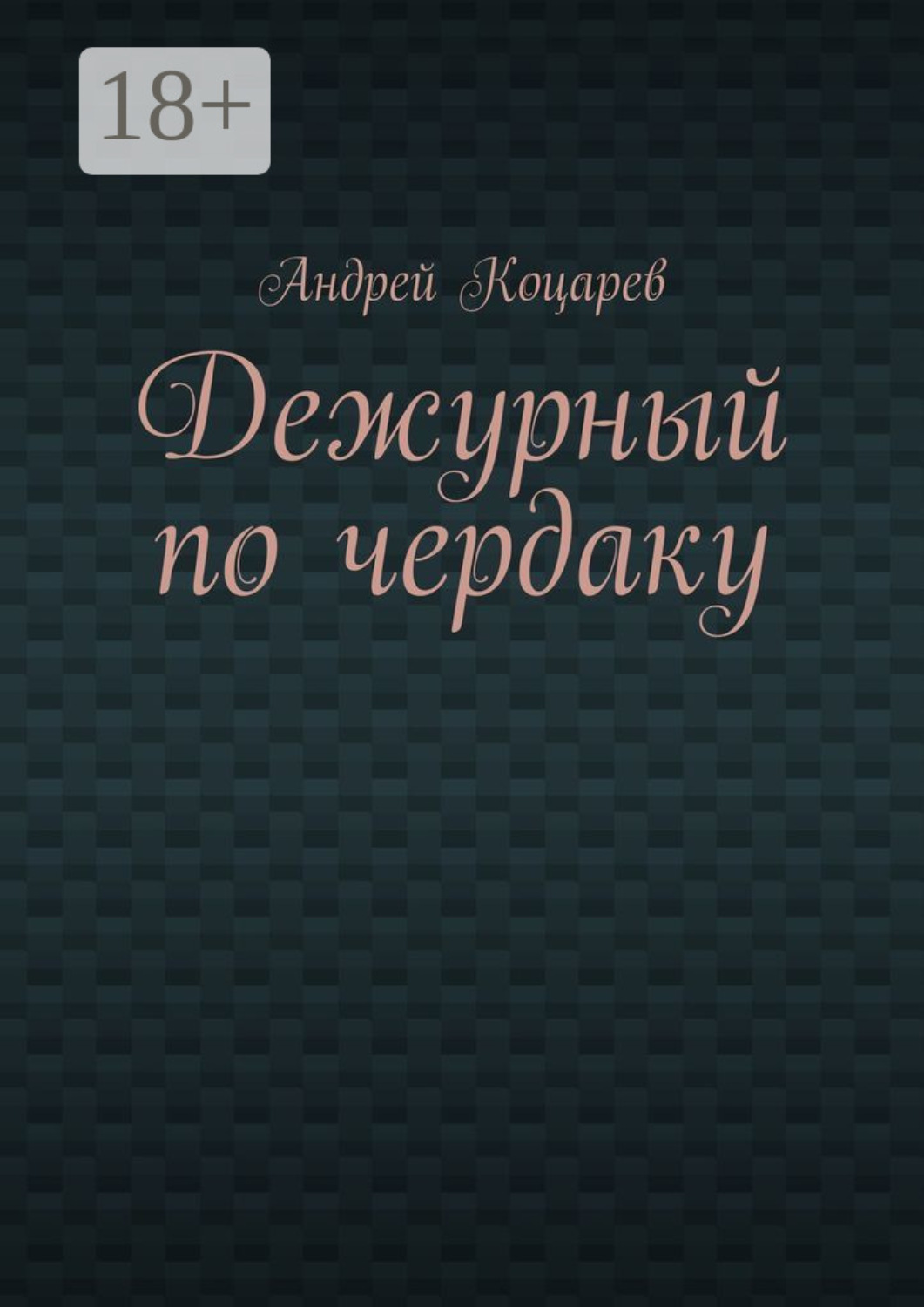 Обложка книги «Дежурный по чердаку. Стихи о разном»