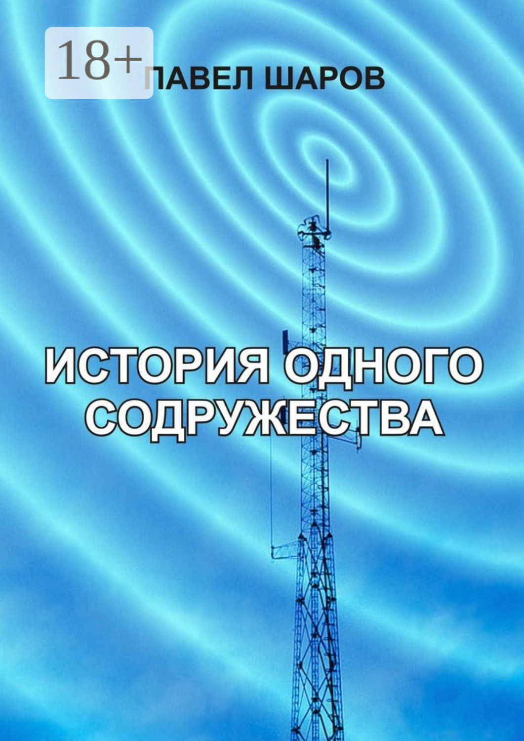 Обложка книги «История одного содружества»