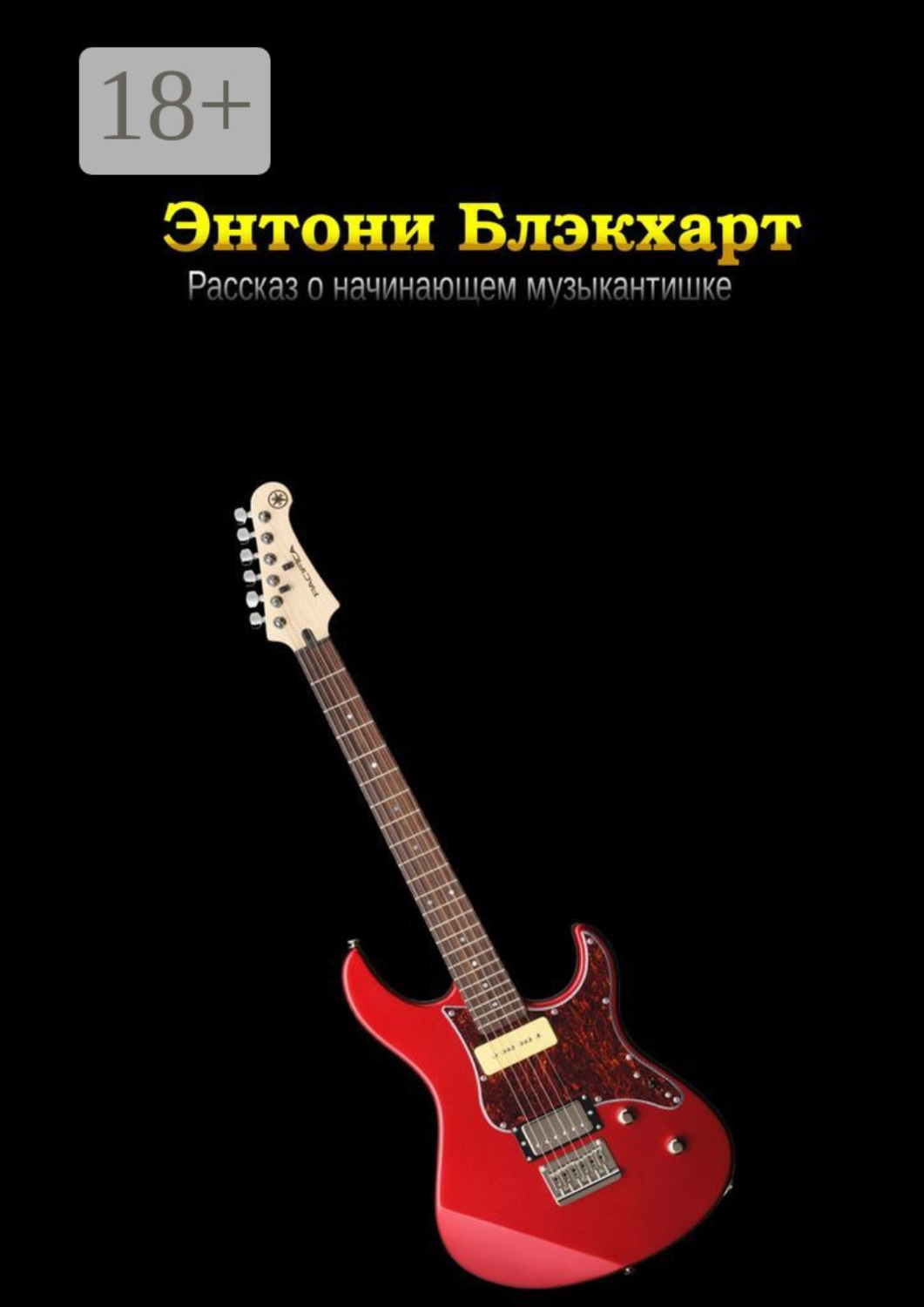 Обложка книги «Рассказ о начинающем музыкантишке»