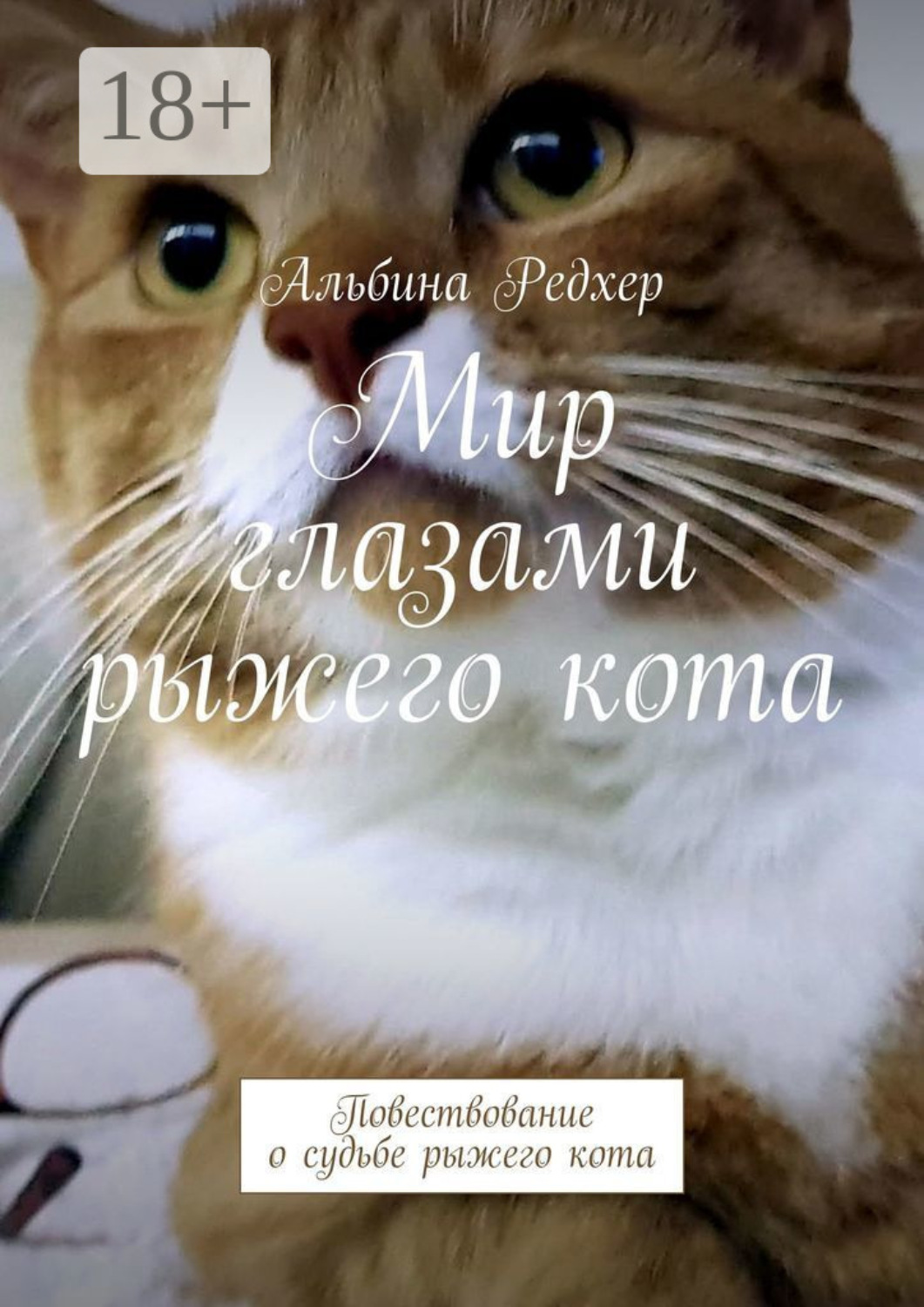 Обложка книги «Мир глазами рыжего кота. Повествование о судьбе рыжего кота»