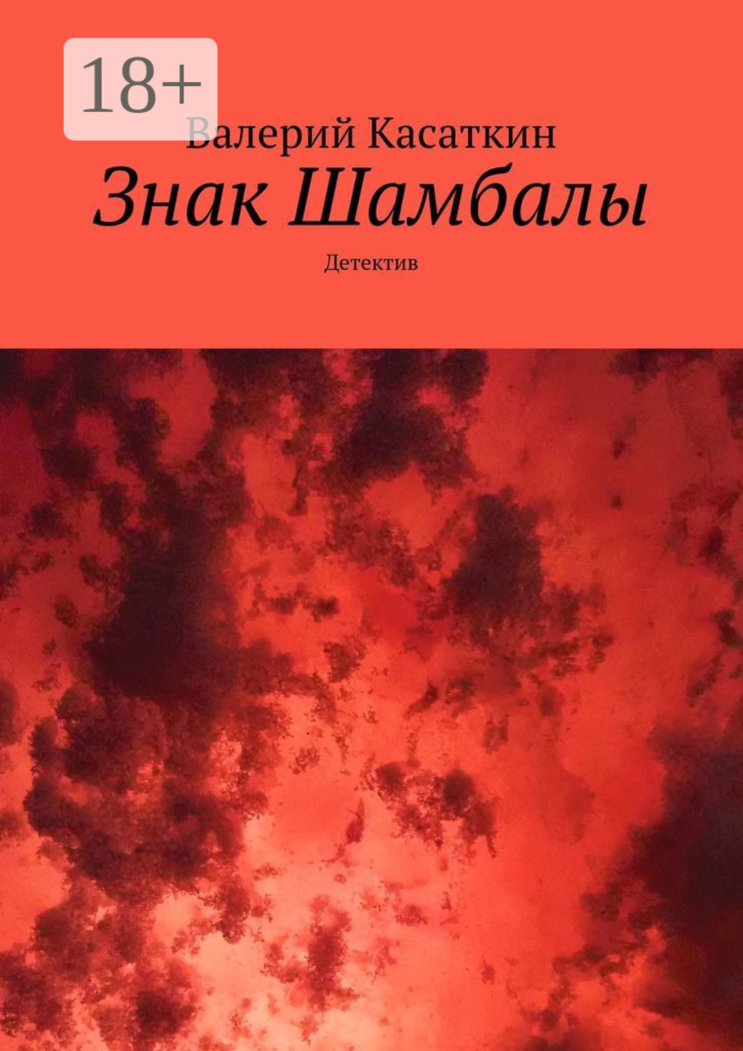 Обложка книги «Знак Шамбалы. Детектив»