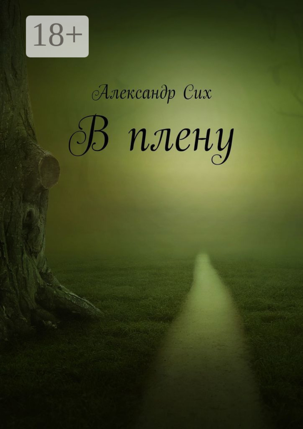 Обложка книги «В плену»