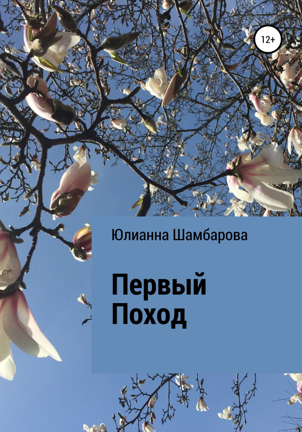 Обложка книги «Первый поход»