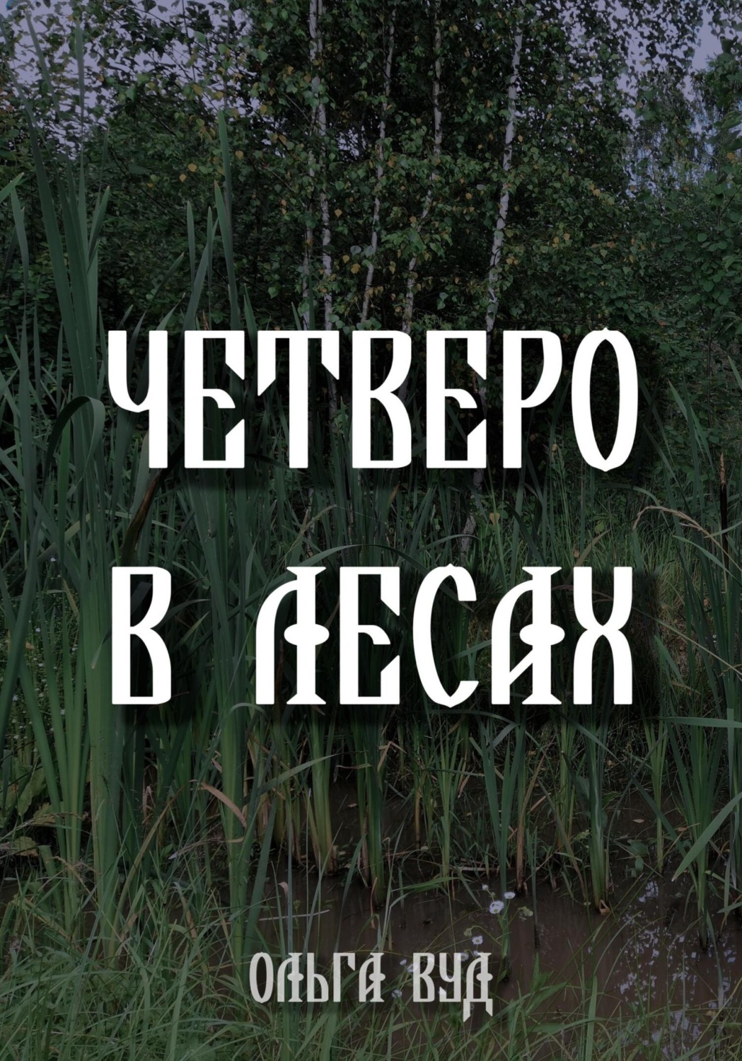 Обложка книги «Четверо в лесах»