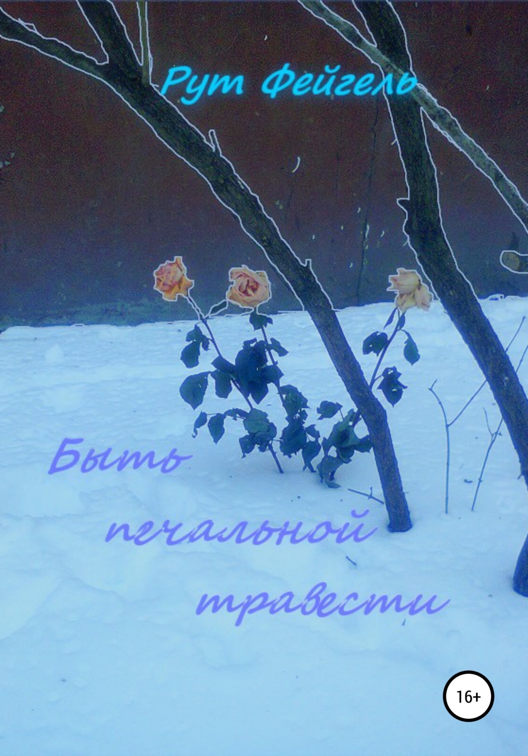 Обложка книги «Быть печальной травести»
