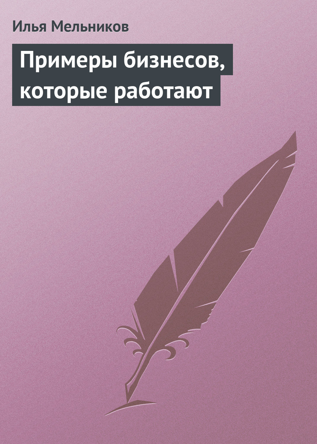 Обложка книги «Примеры бизнесов, которые работают»