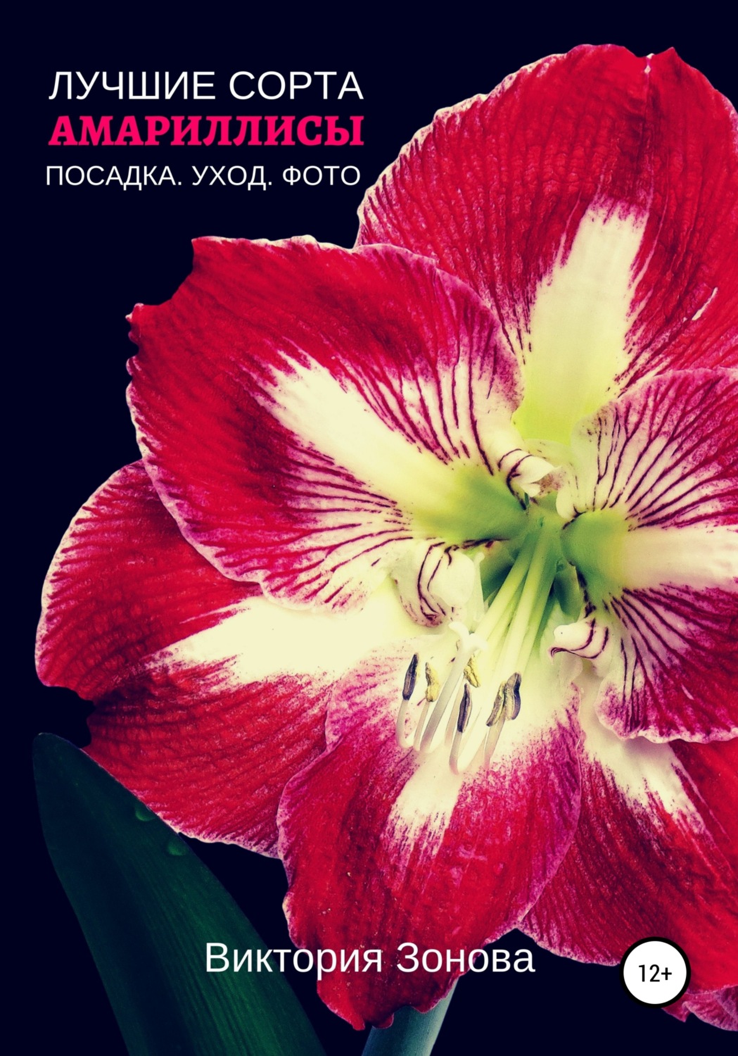 Обложка книги «Амариллисы. Лучшие сорта»