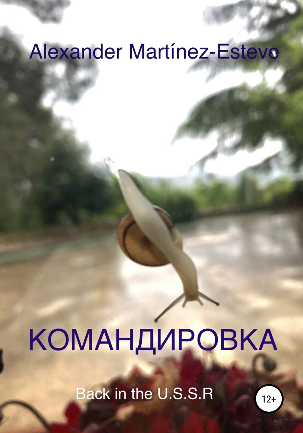 Обложка книги «Командировка»
