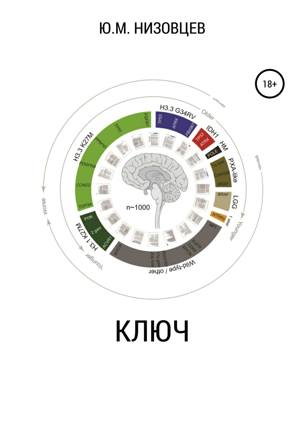 Обложка книги «Ключ»