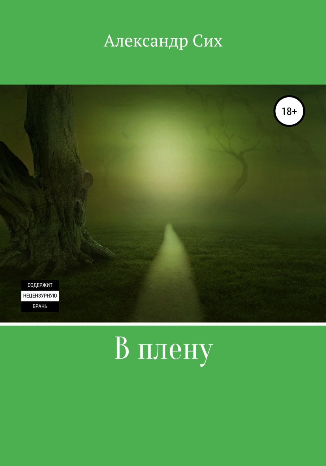 Обложка книги «В плену»