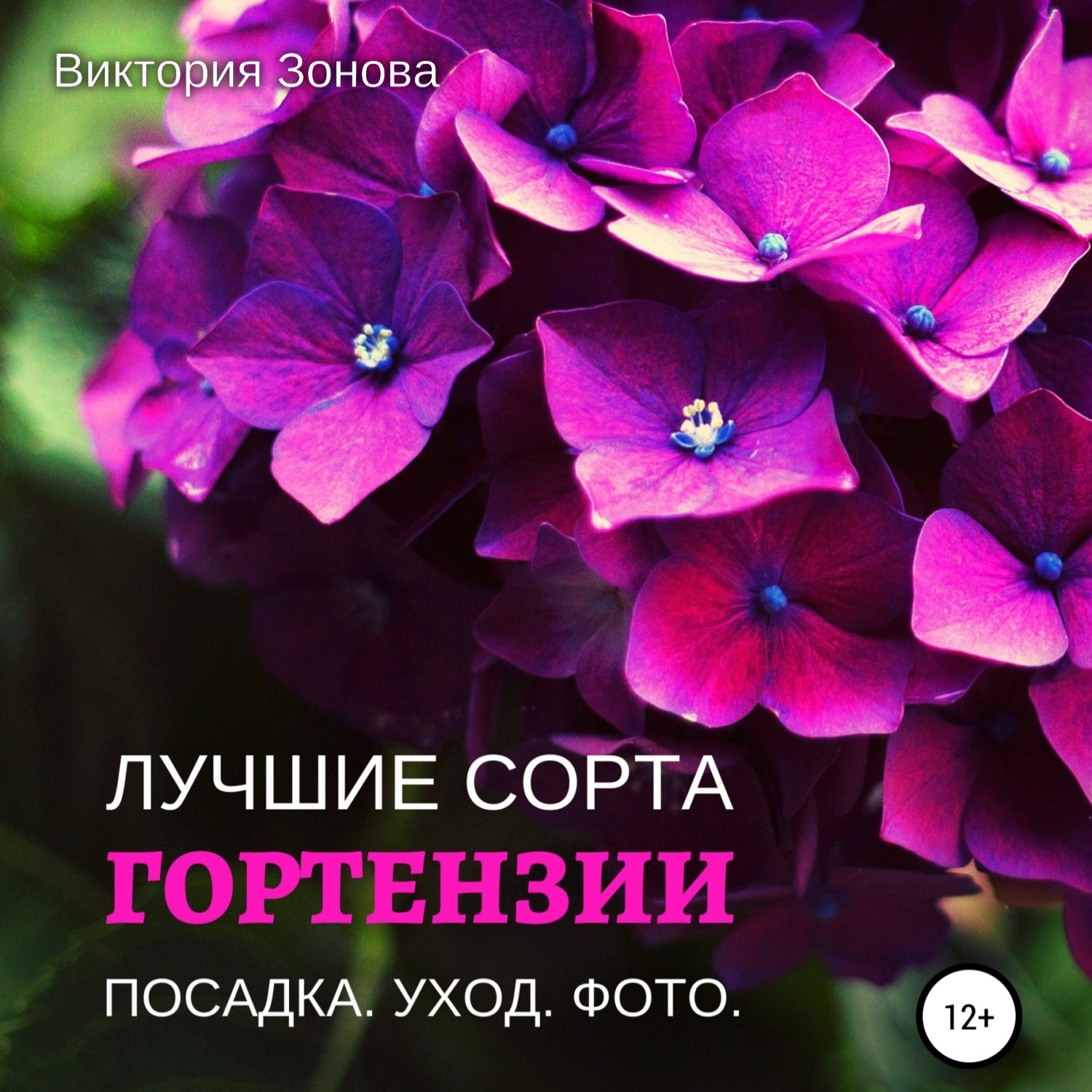 Обложка книги «Гортензии. Лучшие сорта»