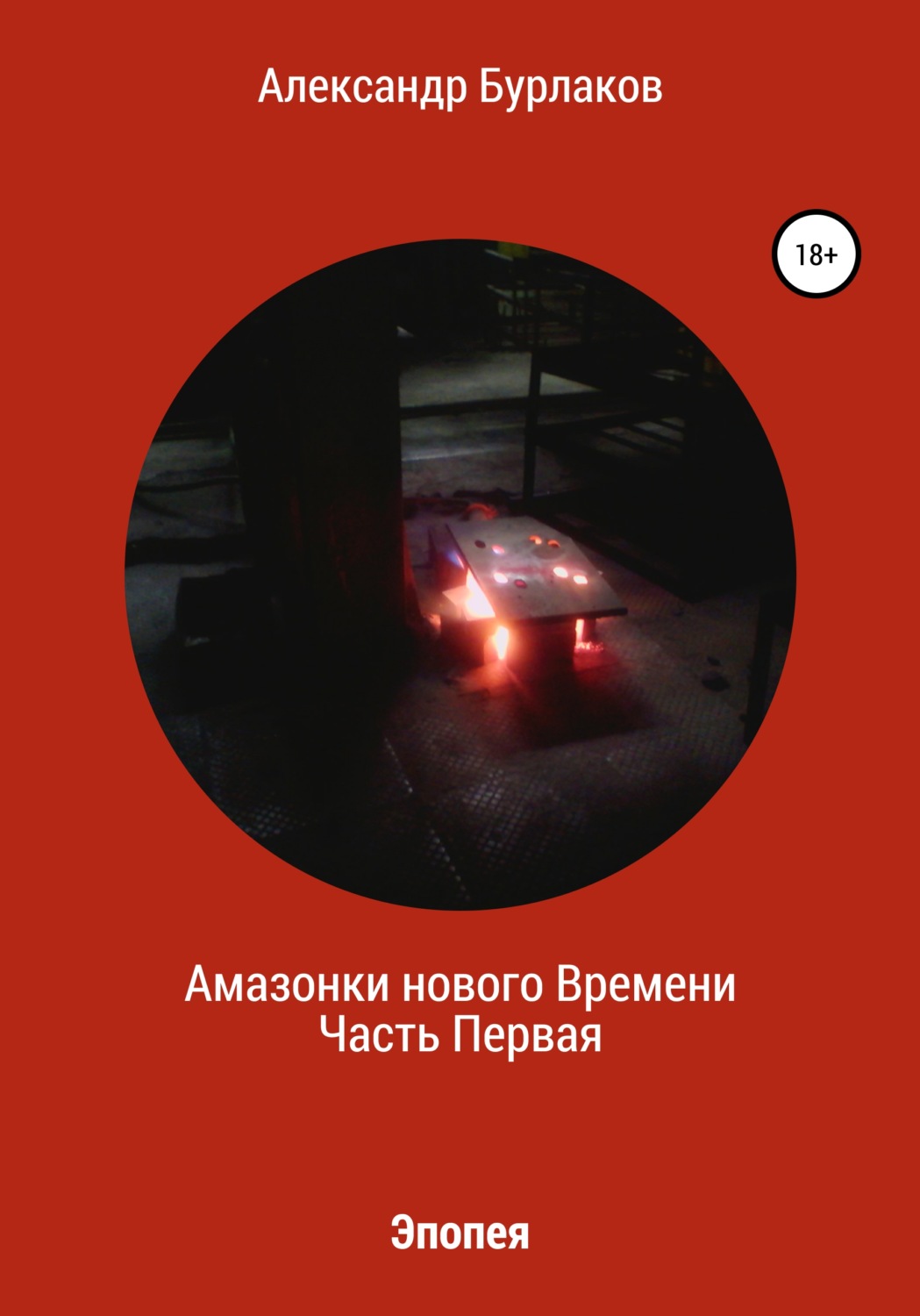 Обложка книги «Амазонки нашего Времени»