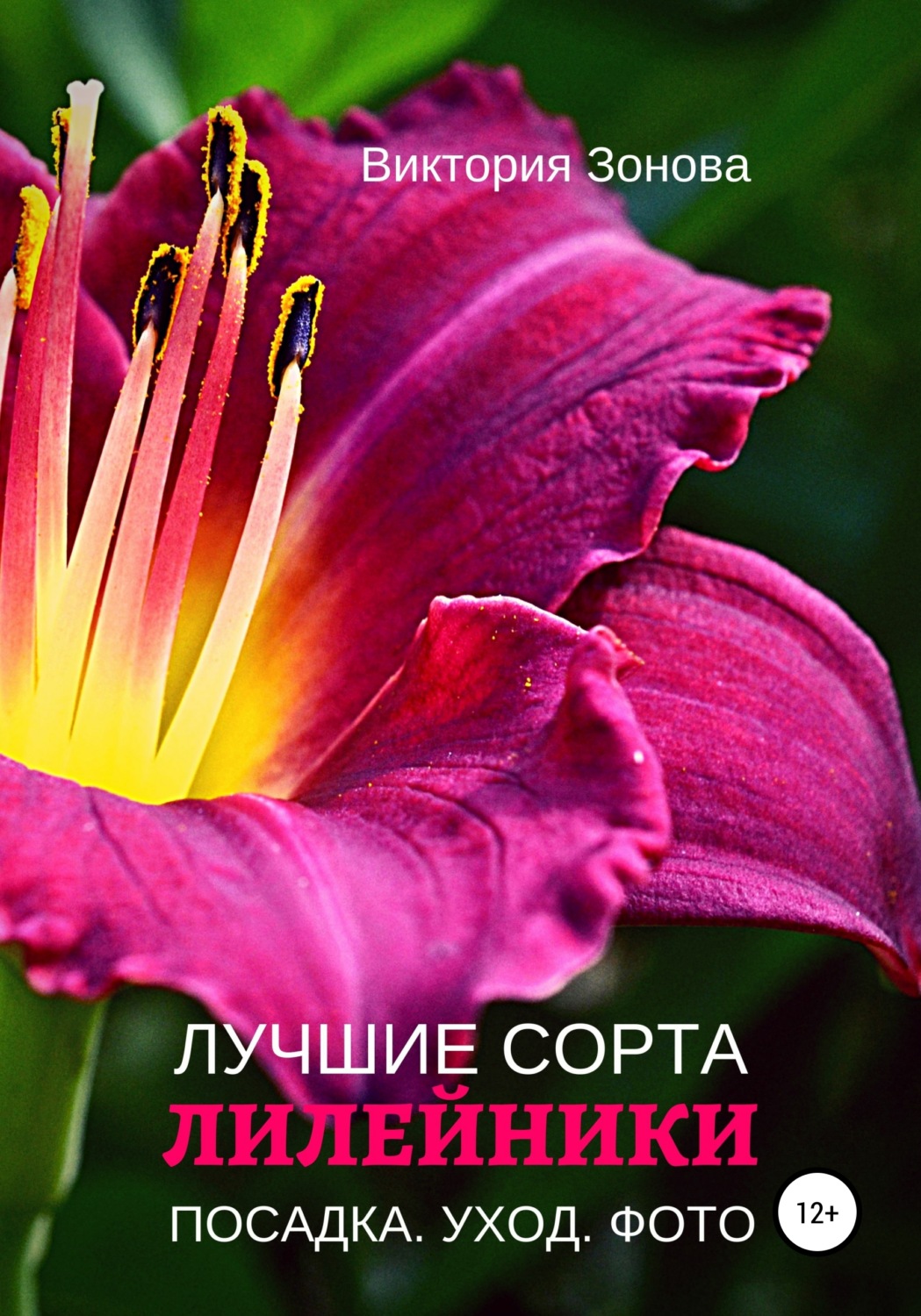 Обложка книги «Лилейники. Лучшие сорта»
