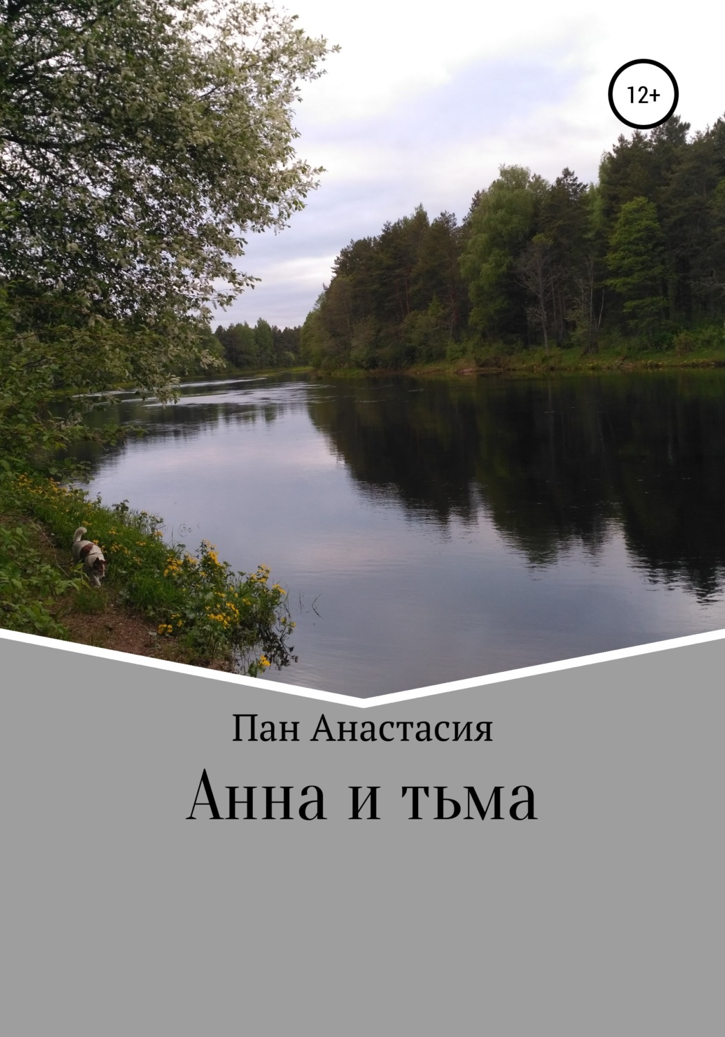 Обложка книги «Анна и тьма»