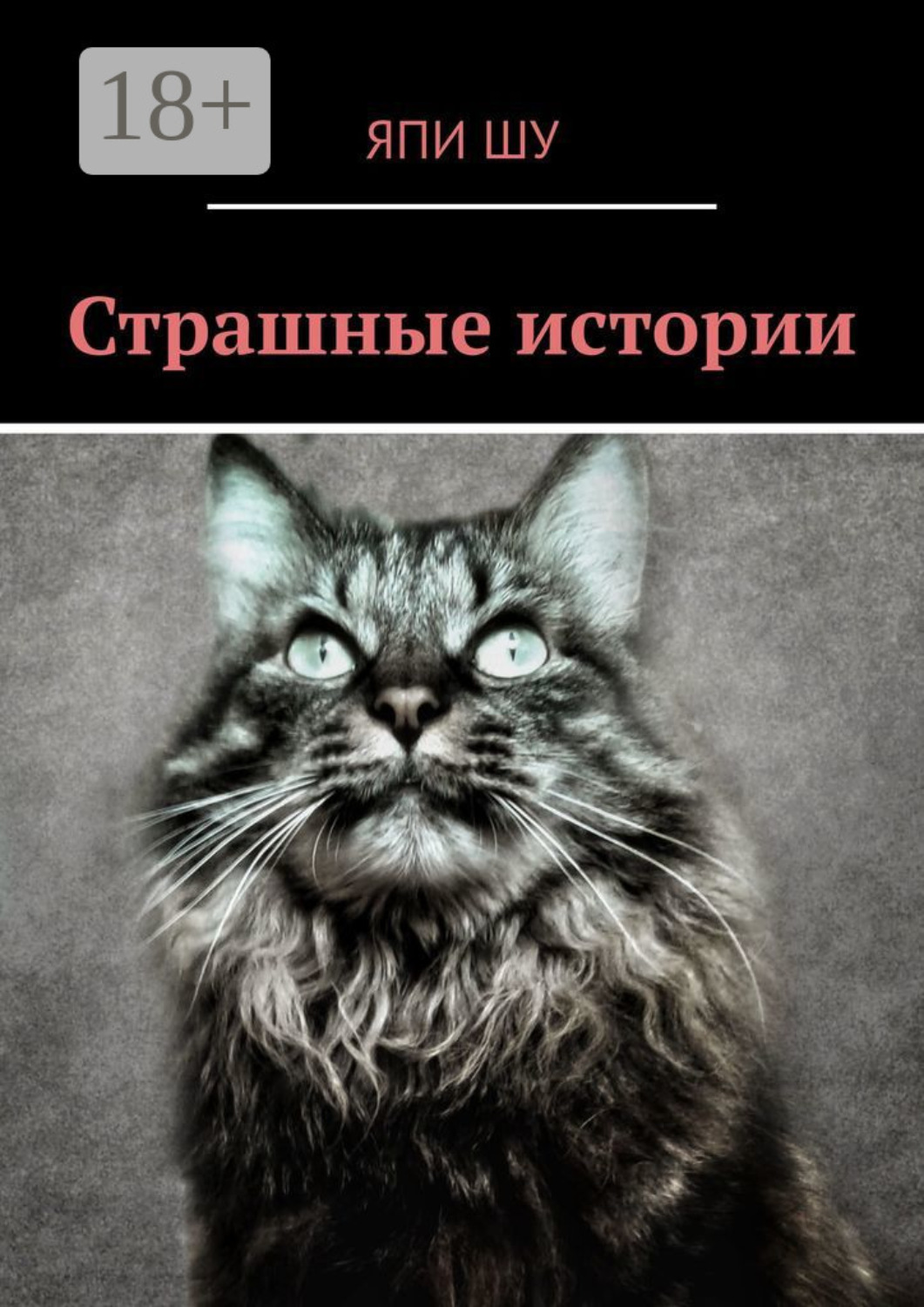 Обложка книги «Страшные истории»