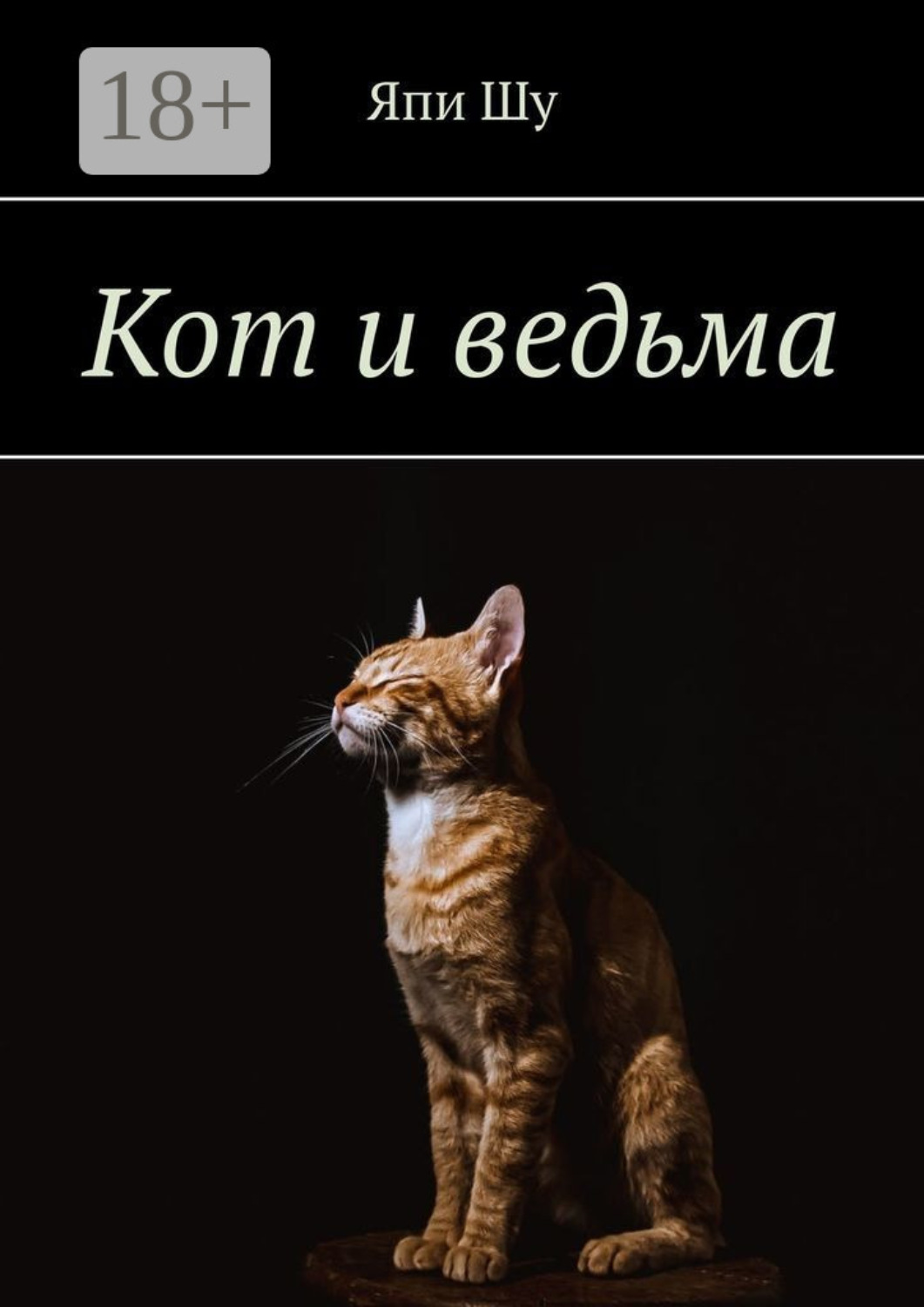 Обложка книги «Кот и ведьма»