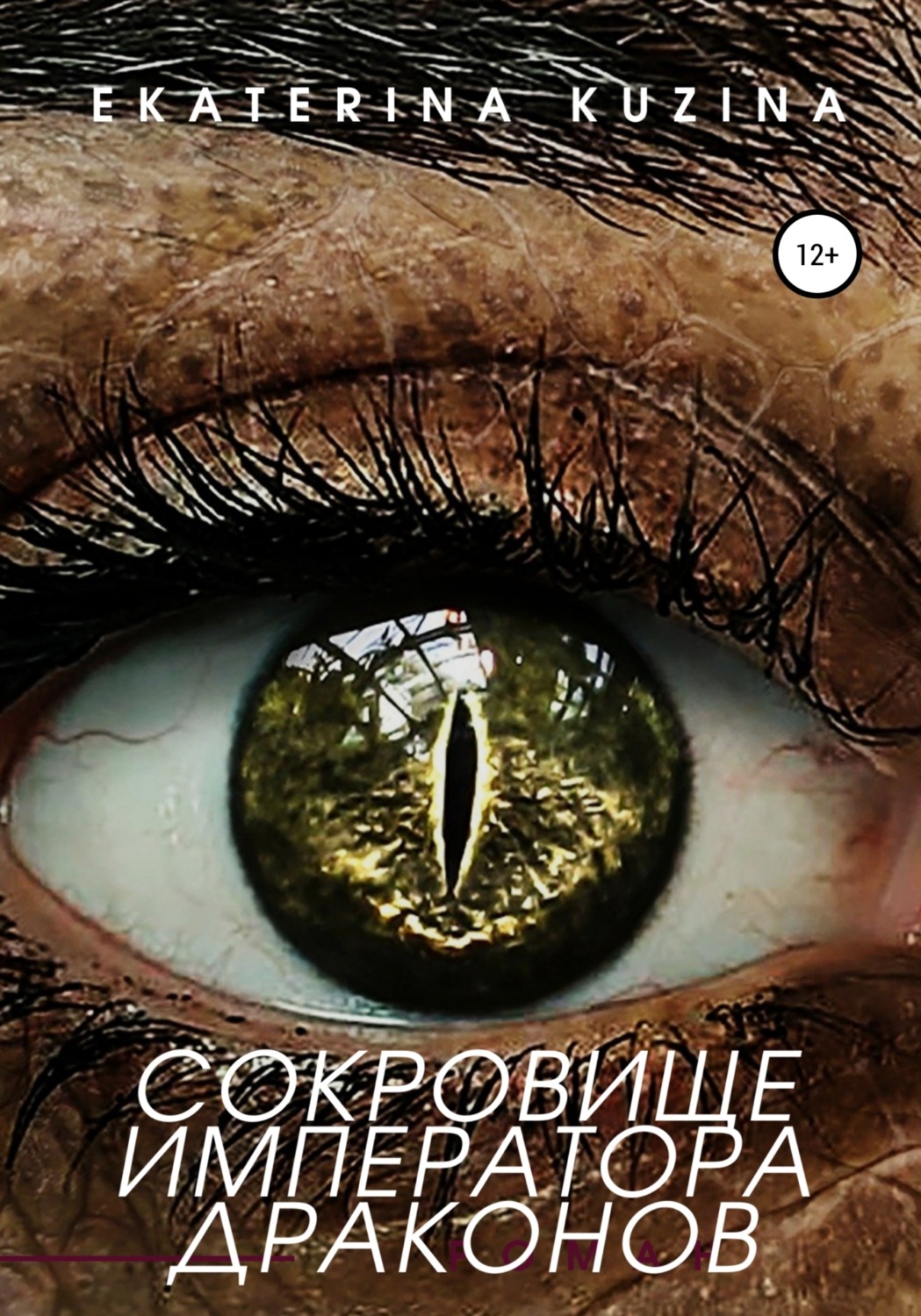 Обложка книги «Сокровище императора драконов»