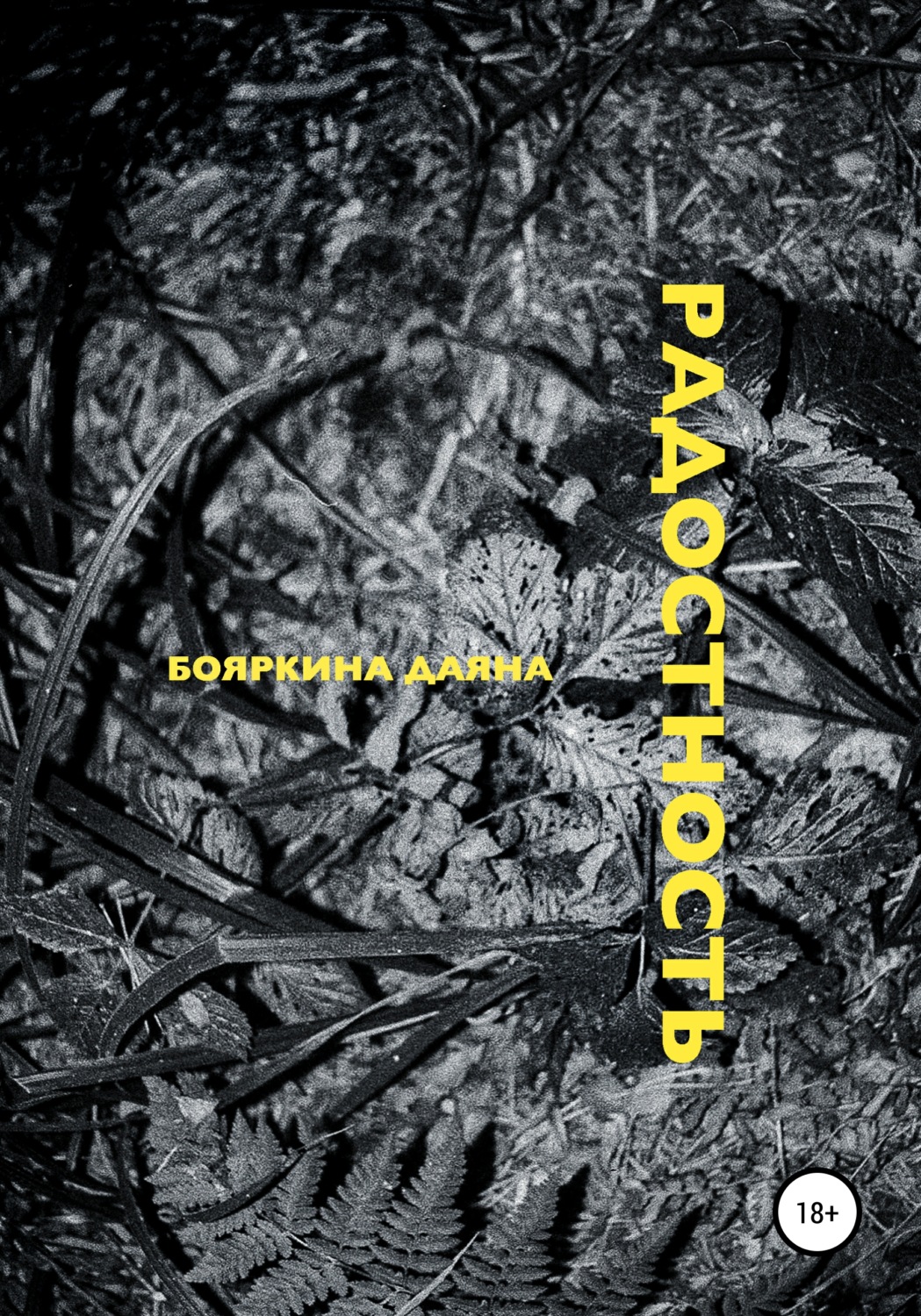Обложка книги «Радостность»