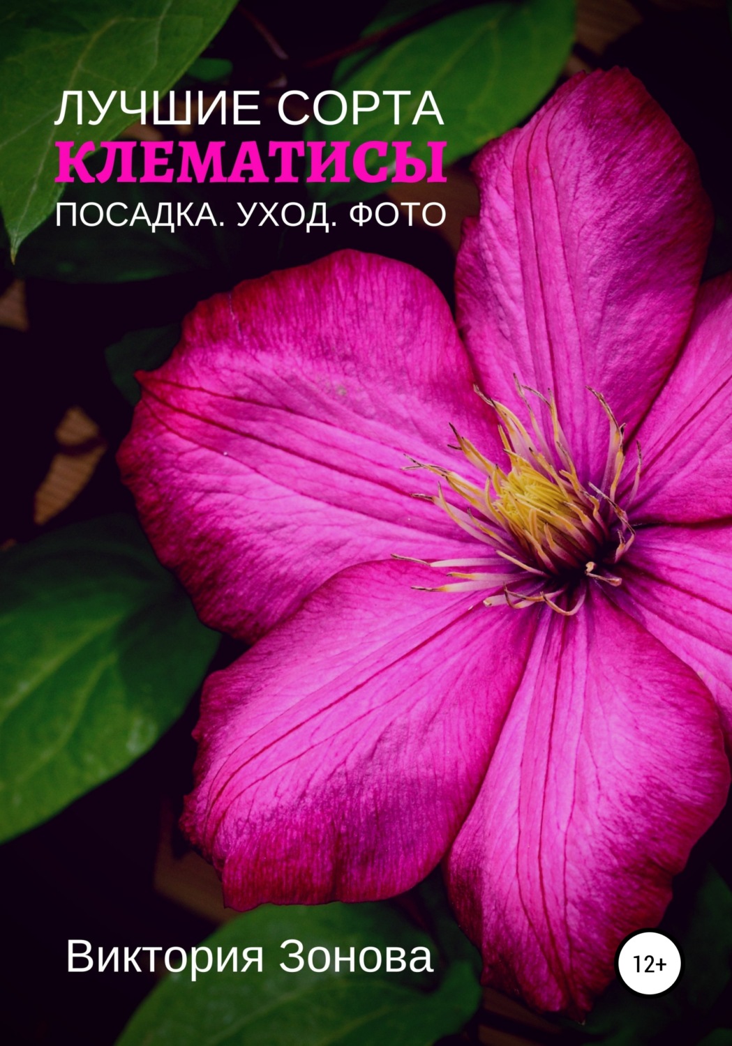 Обложка книги «Клематисы. Лучшие сорта»