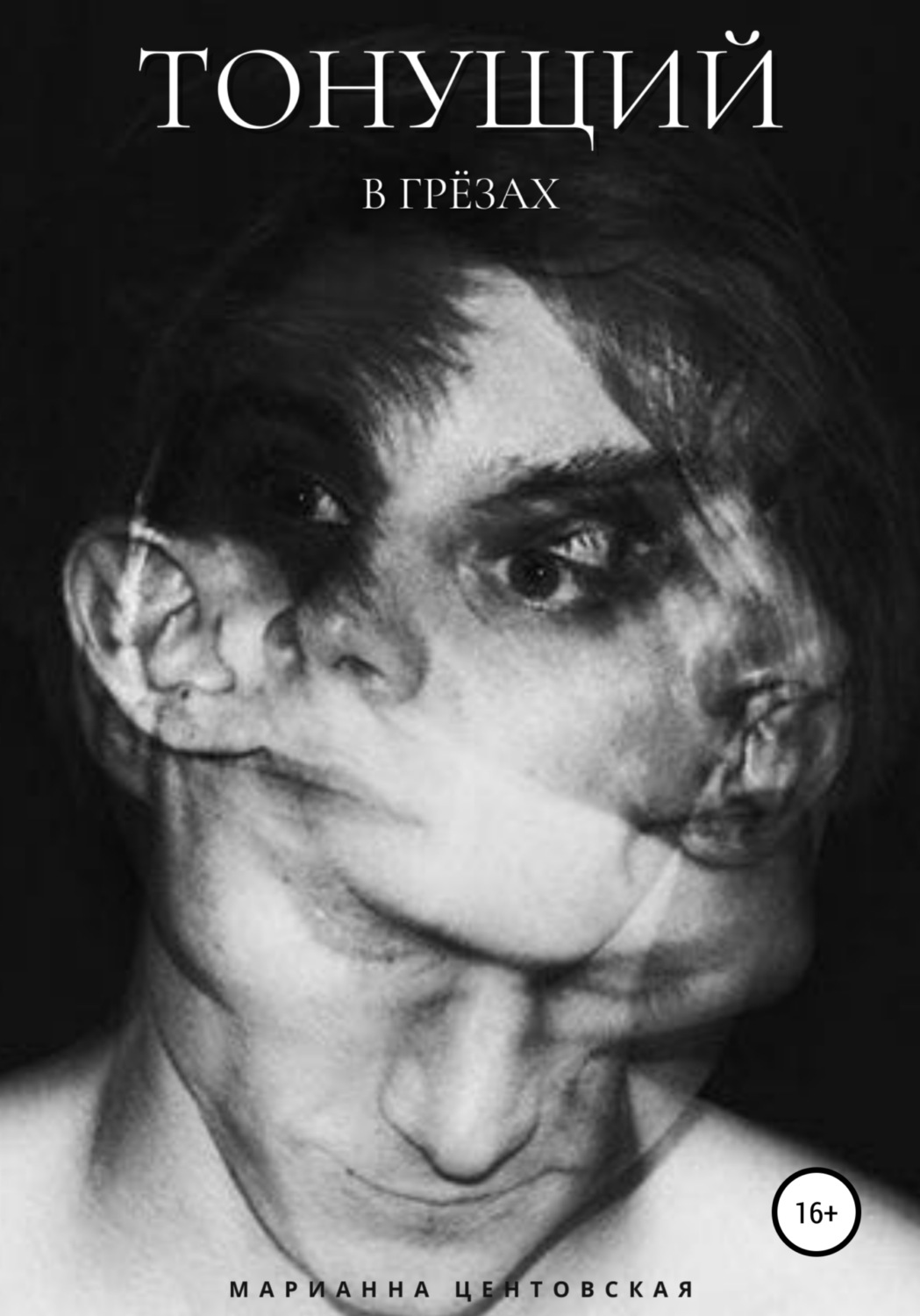 Обложка книги «Тонущий в грёзах»