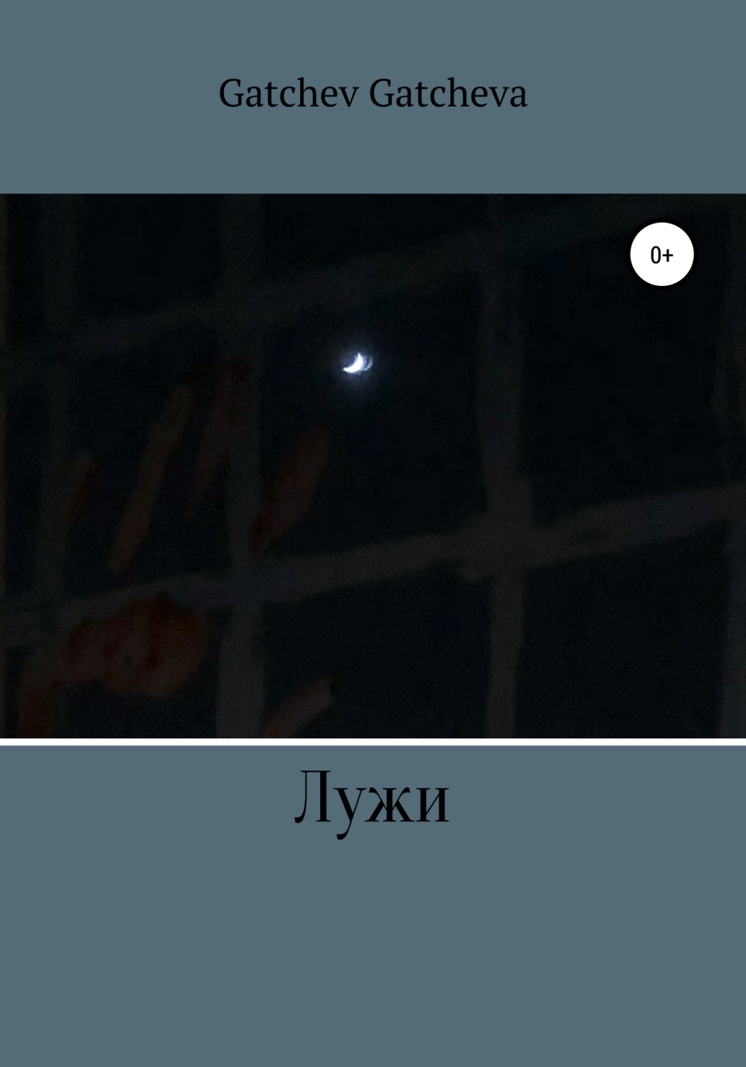 Обложка книги «Лужи»