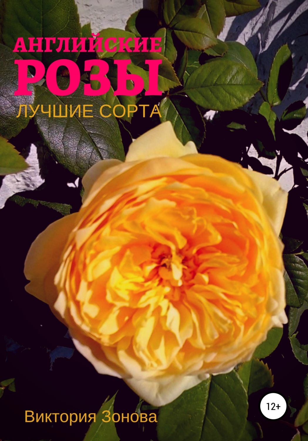 Обложка книги «Английские розы. Лучшие сорта»
