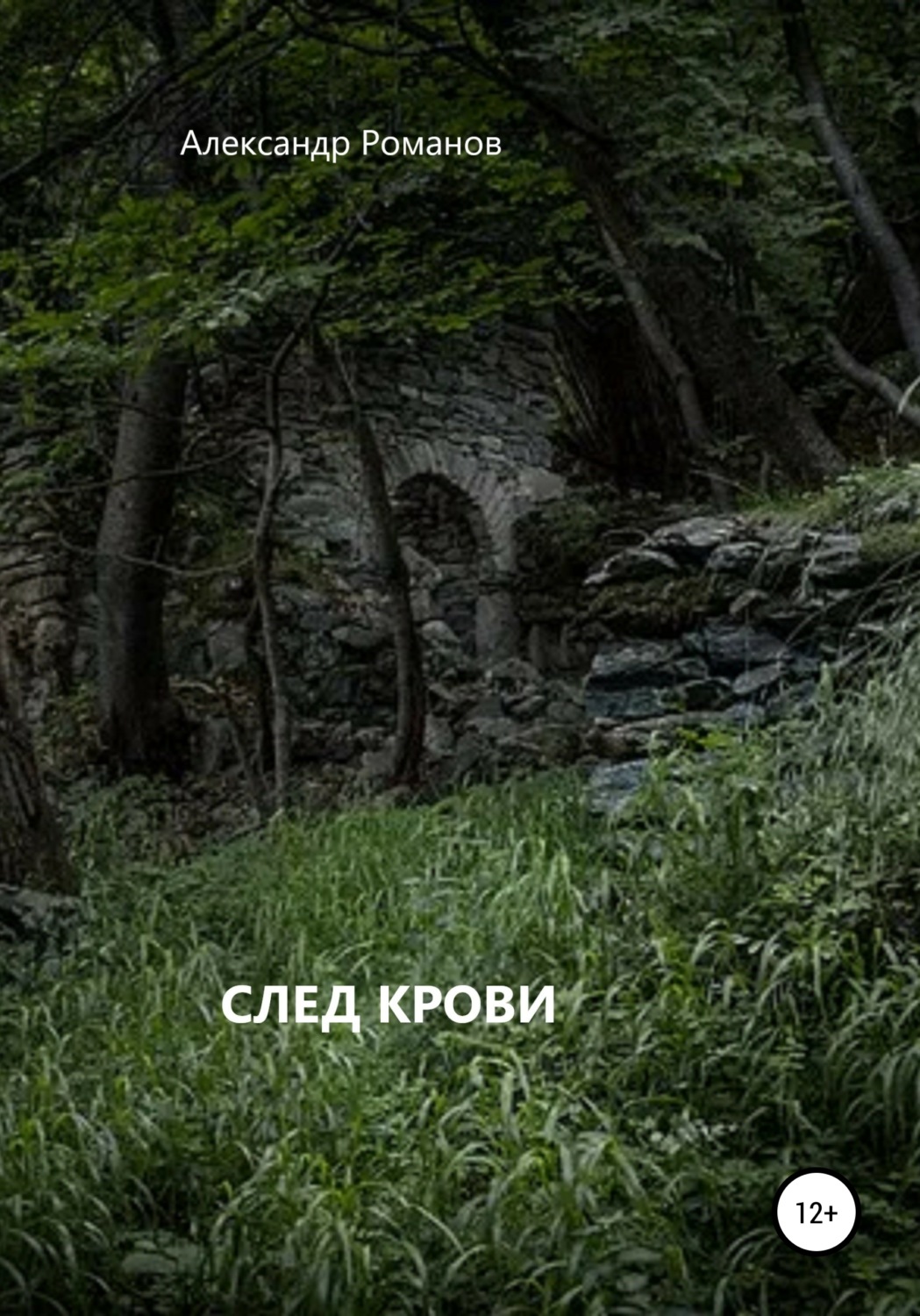 Обложка книги «След крови»