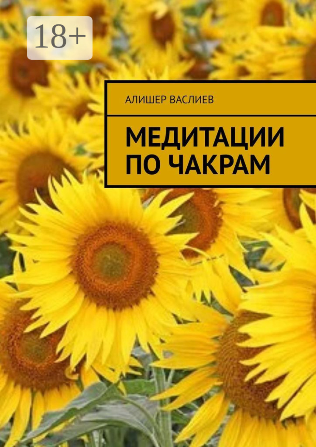 Обложка книги «Медитации по чакрам»