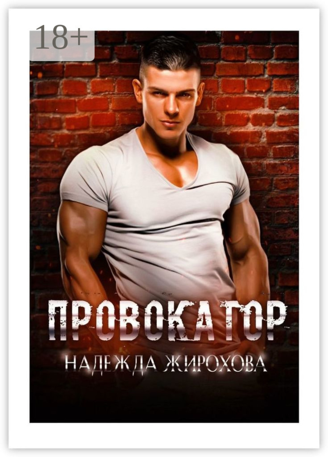 Обложка книги «Провокатор»
