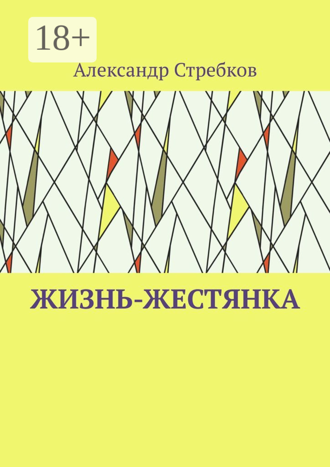 Обложка книги «Жизнь-жестянка»