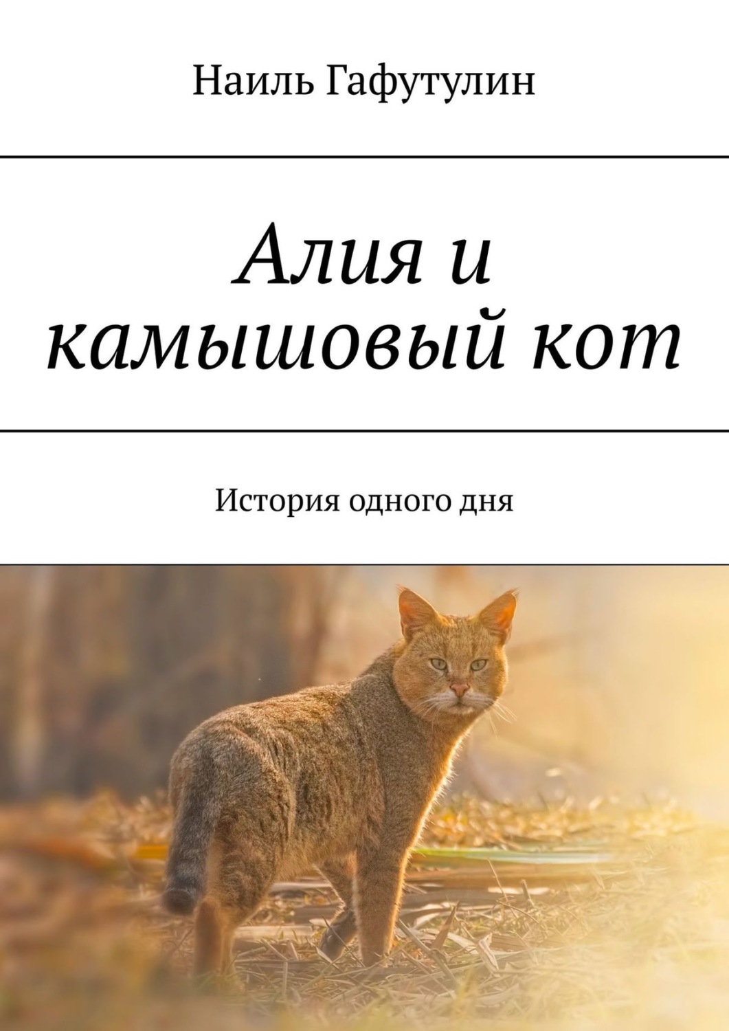 Обложка книги «Алия и камышовый кот. История одного дня»