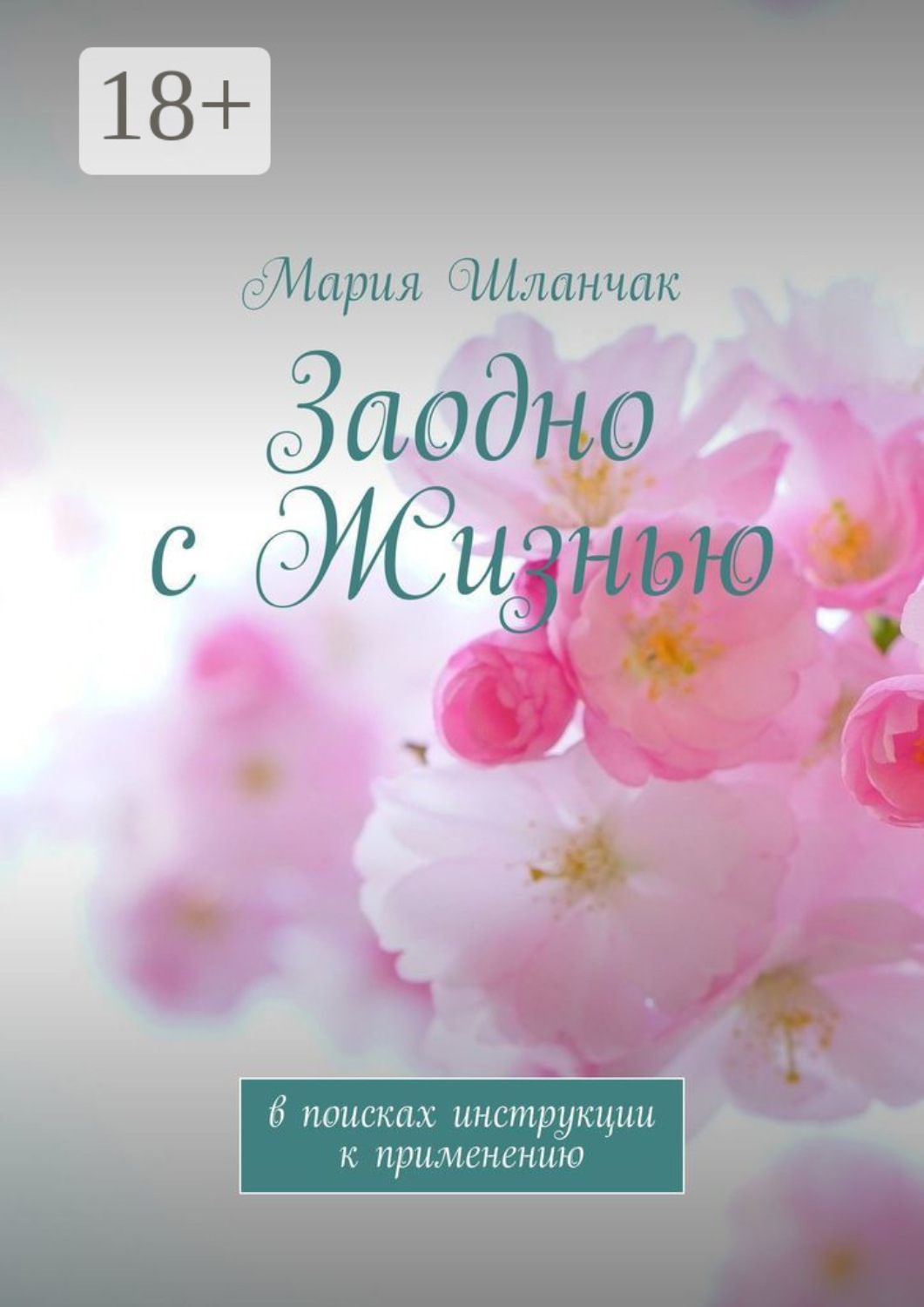 Обложка книги «Заодно с Жизнью. В поисках инструкции к применению»