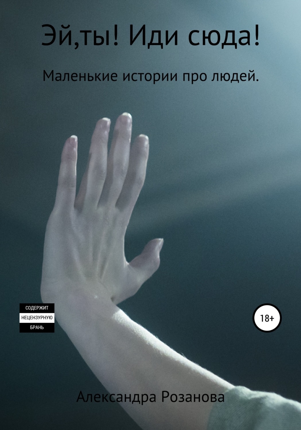 Обложка книги «Эй,ты! Иди сюда!»