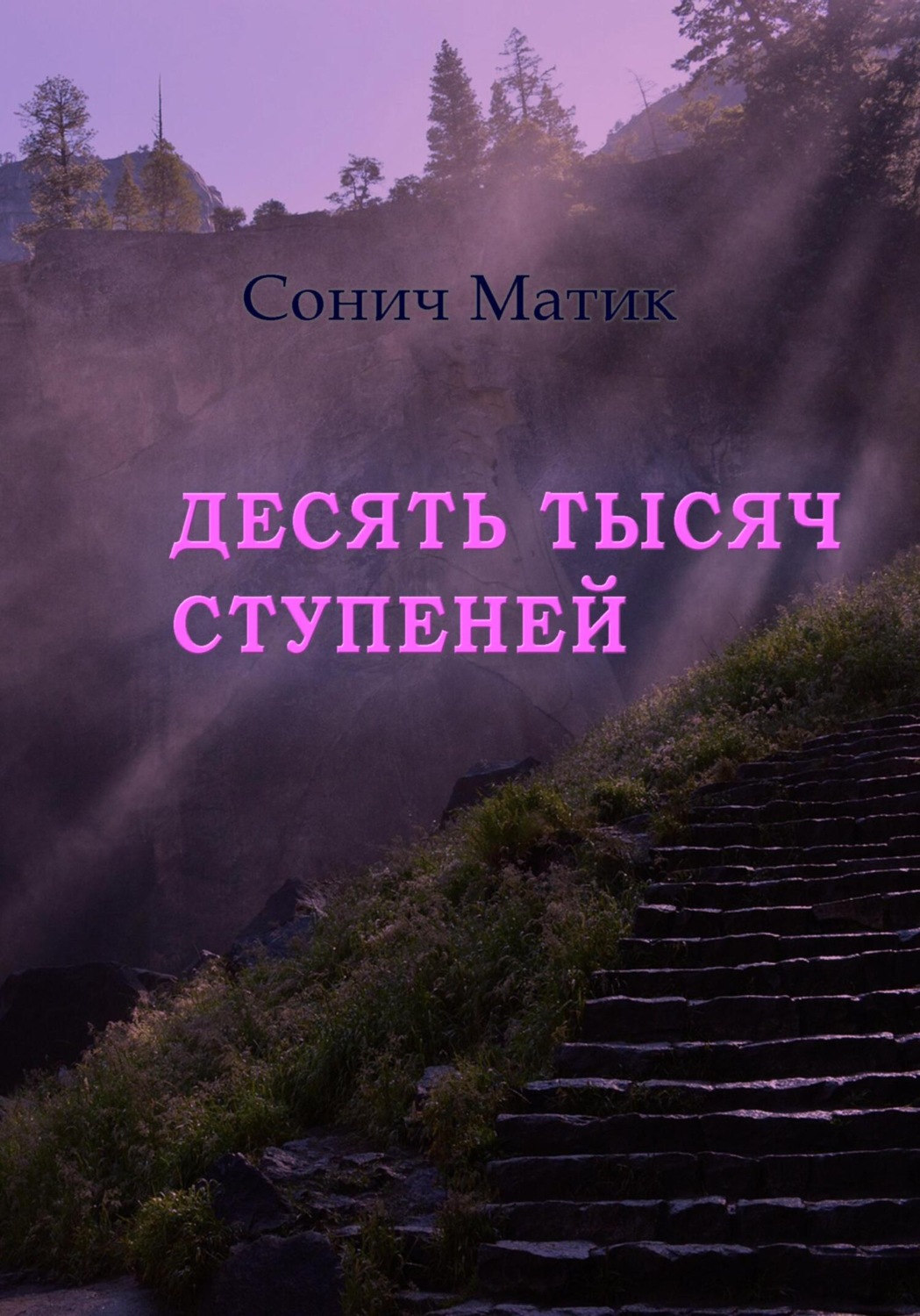 Обложка книги «Десять тысяч ступеней»