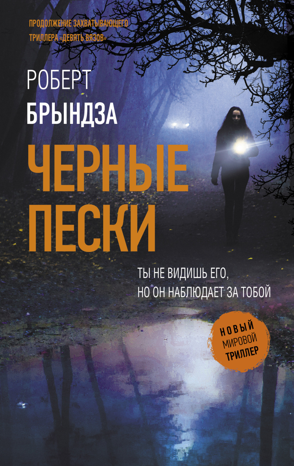 Обложка книги «Черные пески»
