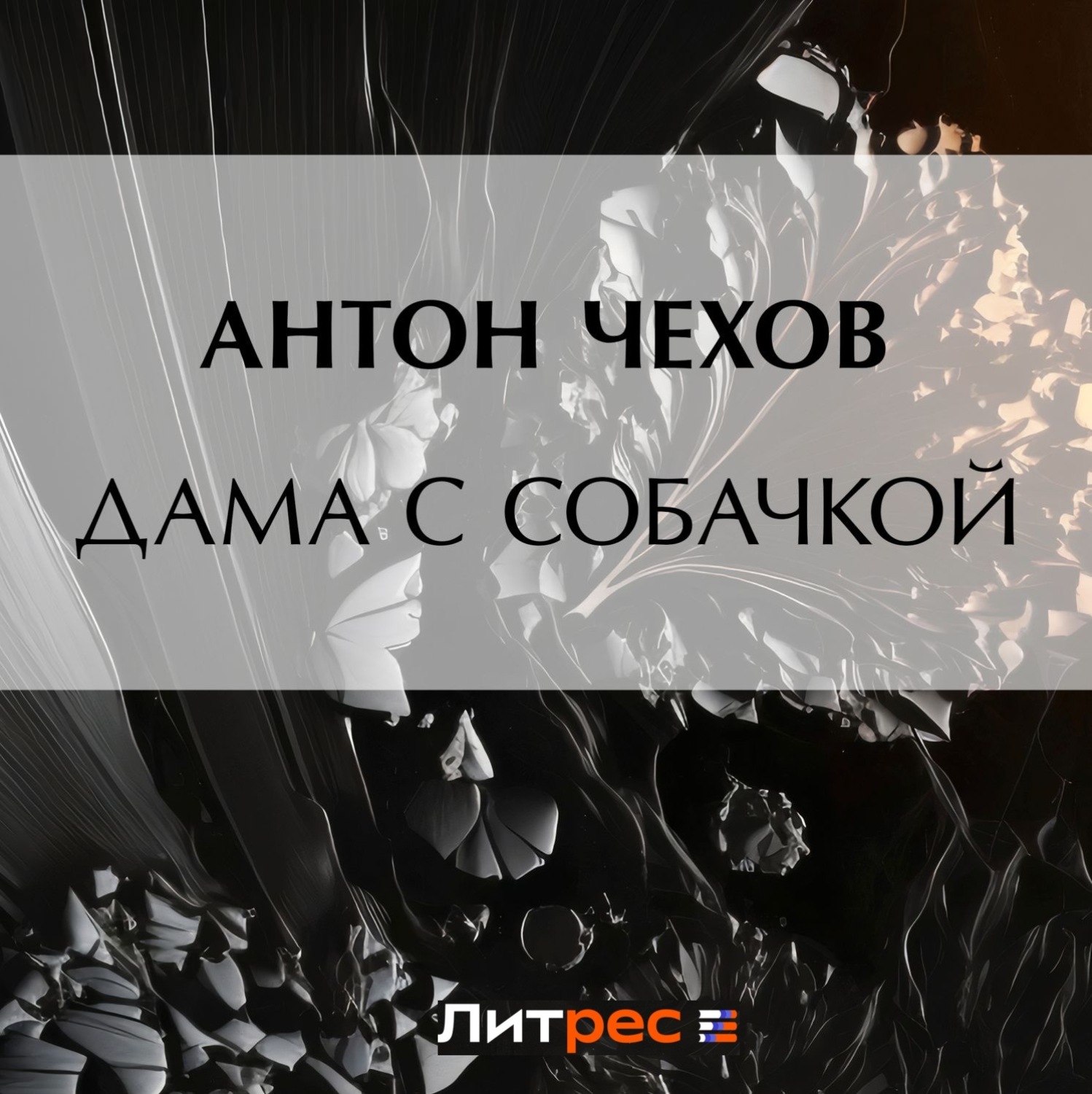 Обложка книги «Дама с собачкой»