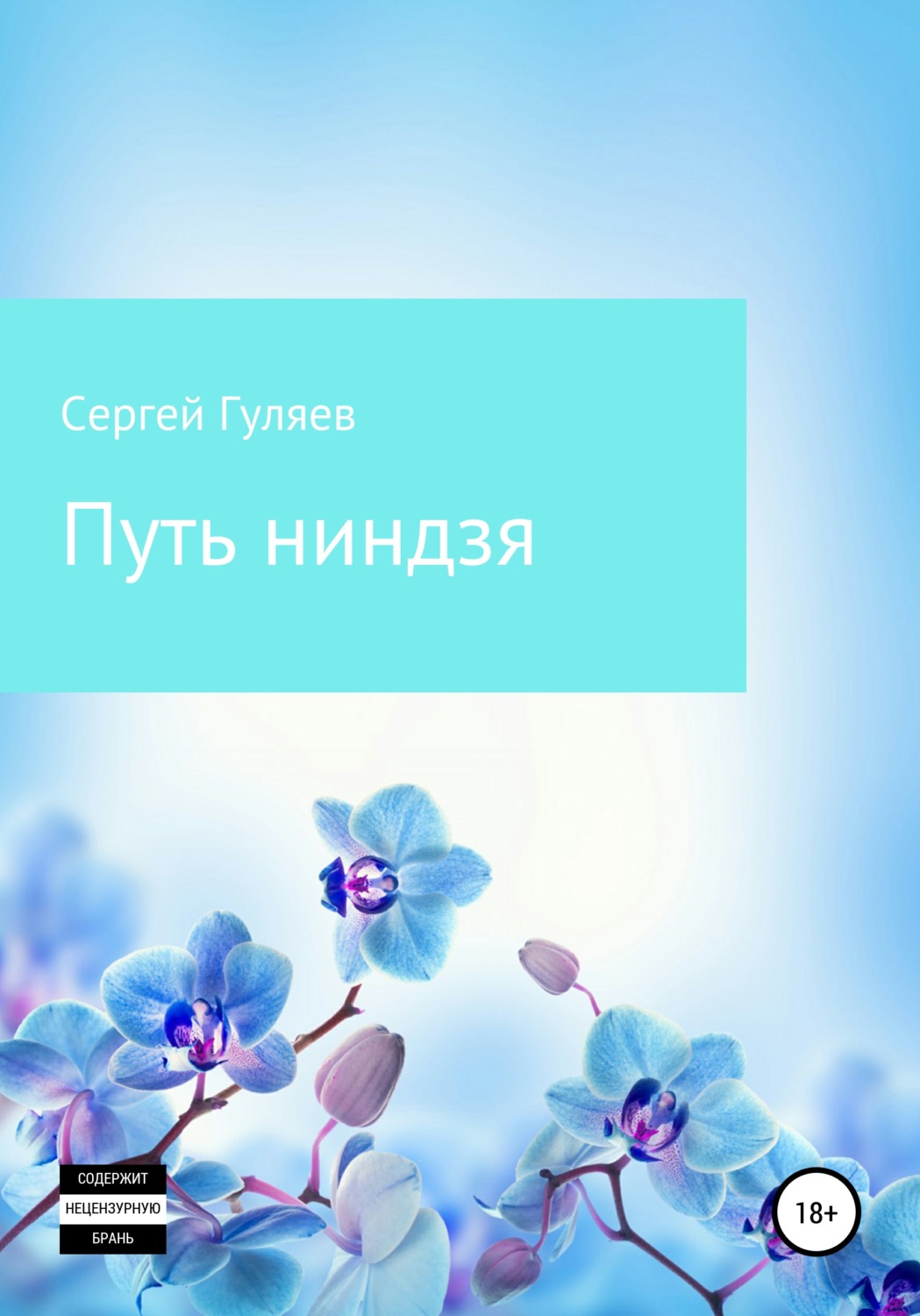Обложка книги «Путь ниндзя»