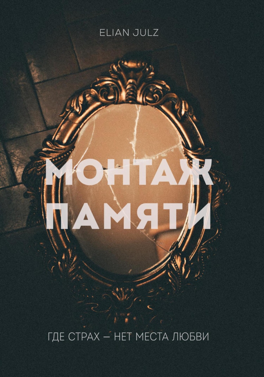 Обложка книги «Монтаж памяти»