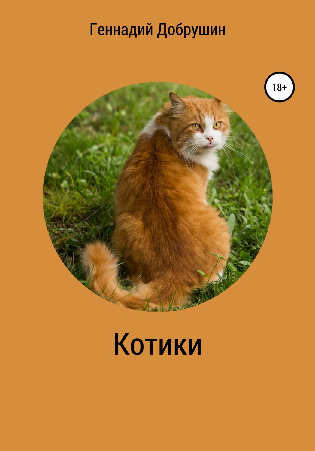 Обложка книги «Котики»