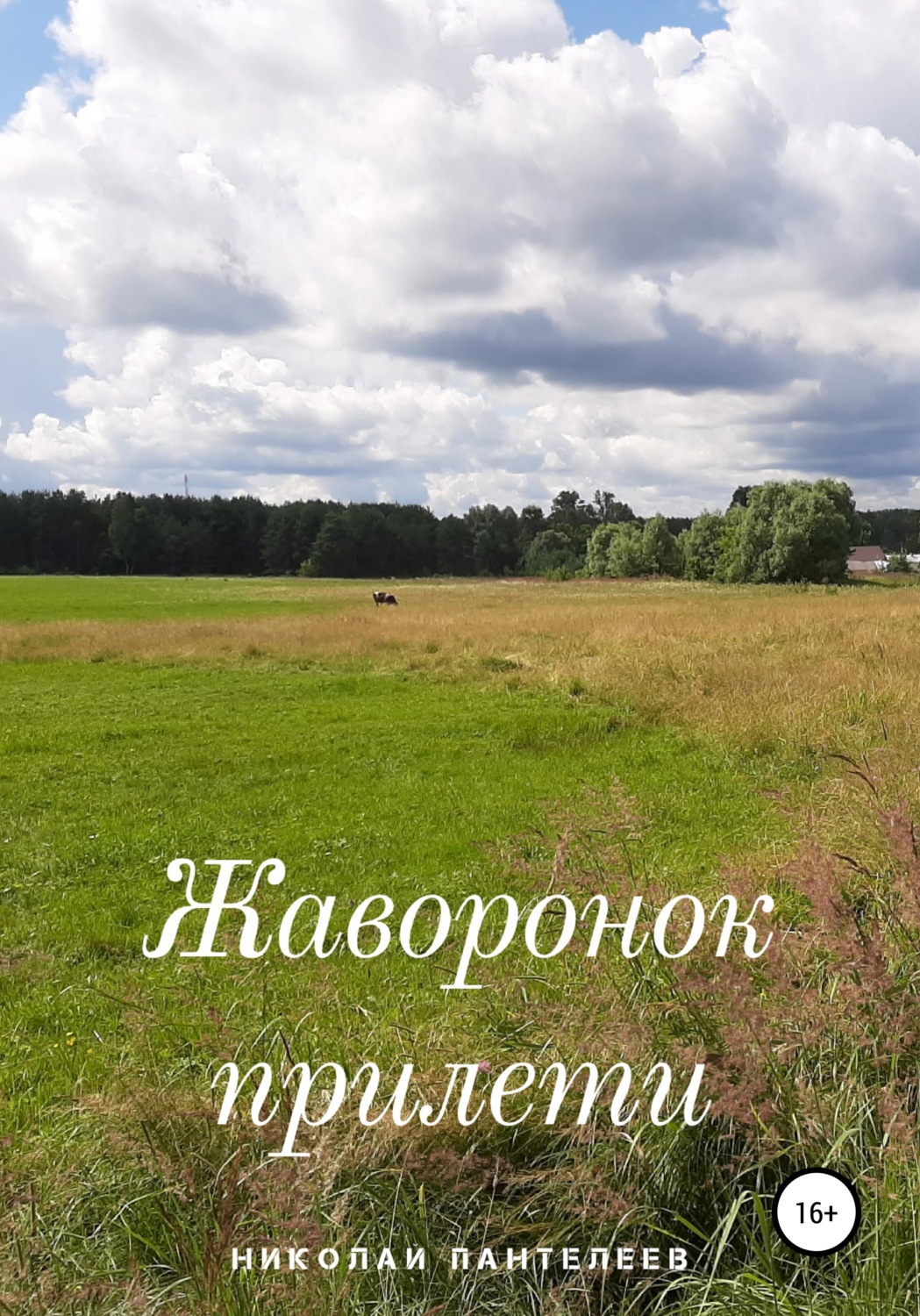 Обложка книги «Жаворонок прилети»