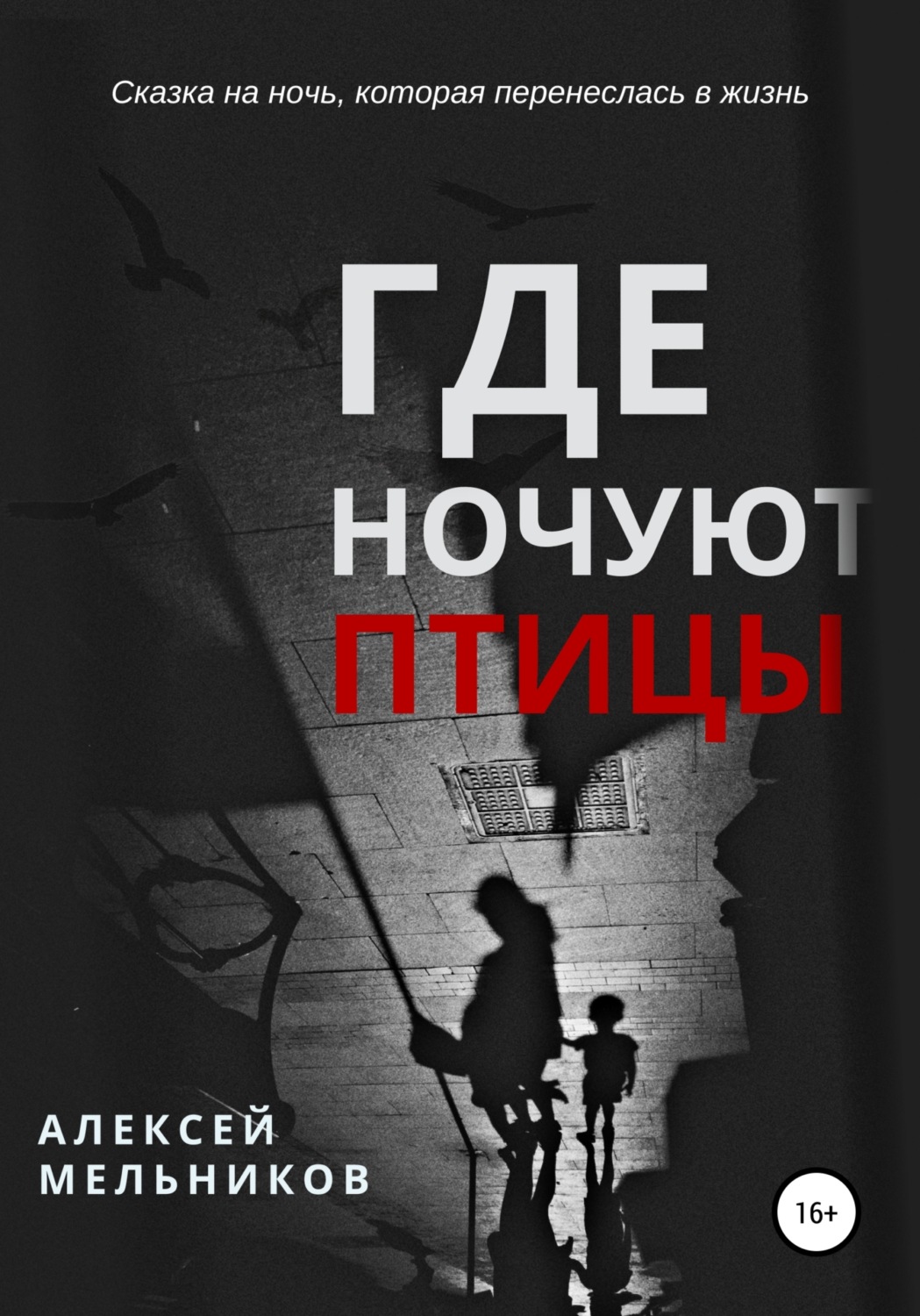 Обложка книги «Где ночуют птицы»