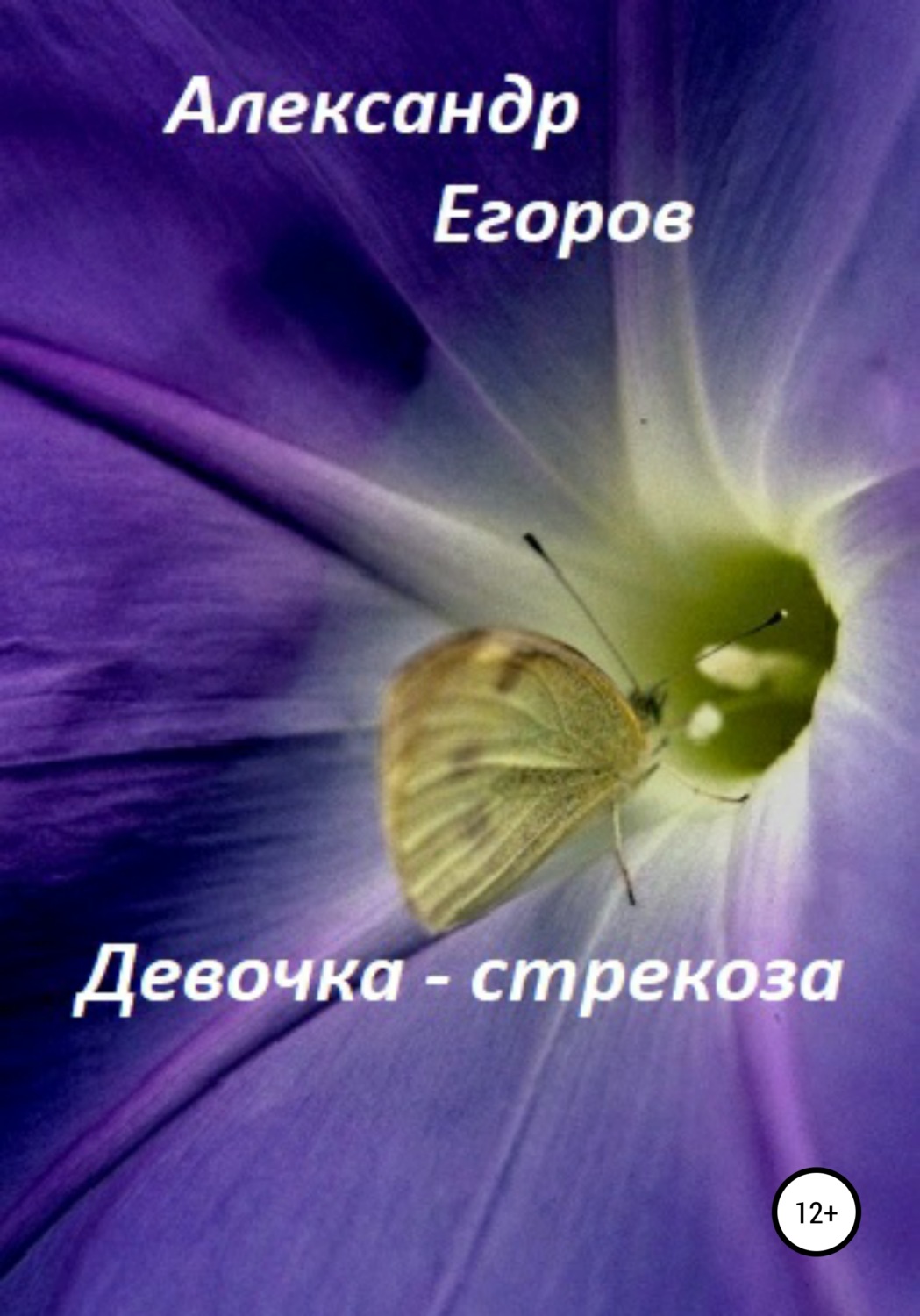 Обложка книги «Девочка – стрекоза»